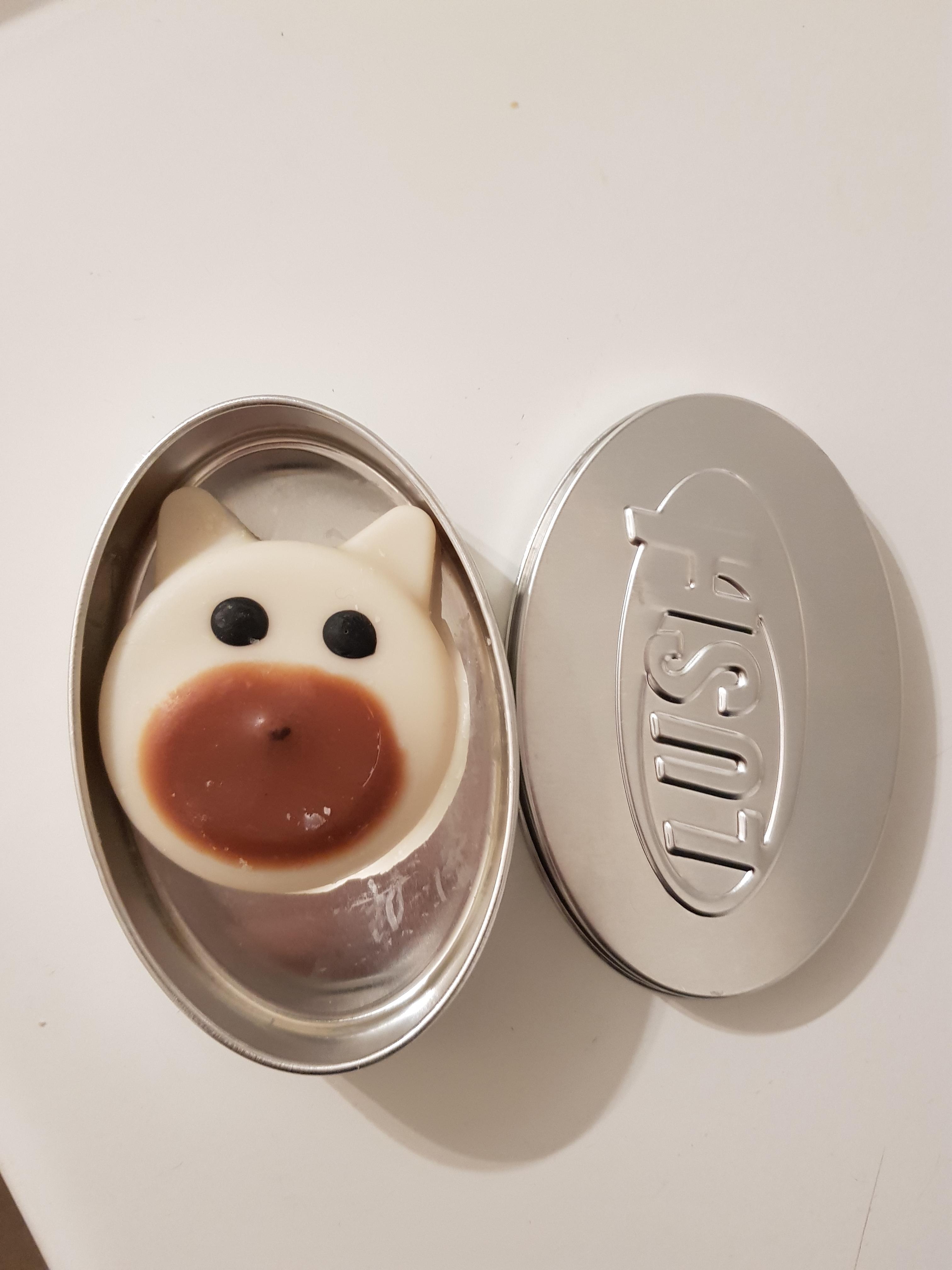 Cute lotion bar from Lush! r/ZeroWaste