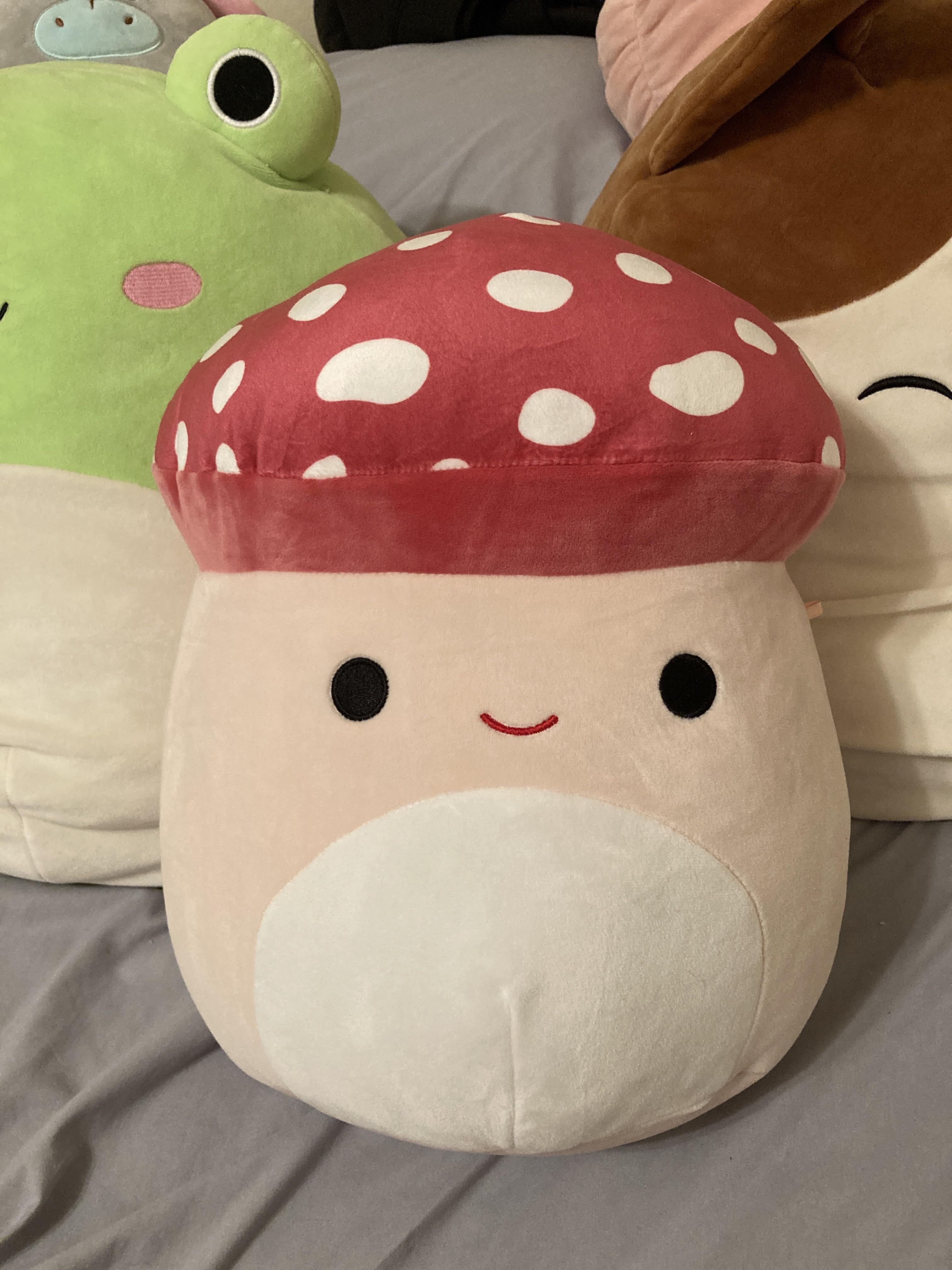 GUYS 😭😭 My boyfriend got Malcolm for me!!! Looks like I