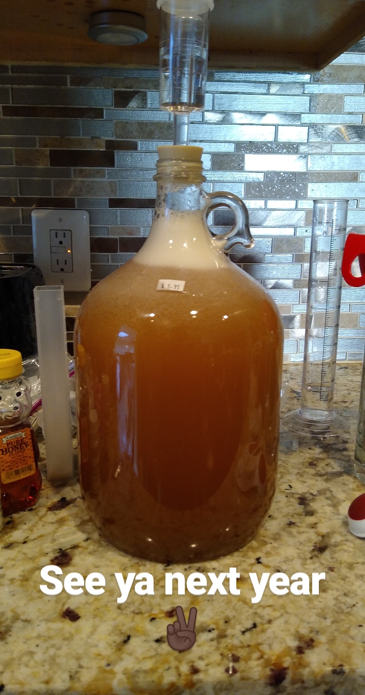 Sack style Mead with 5 pounds of clover honey used K1 1116 yeast r/mead