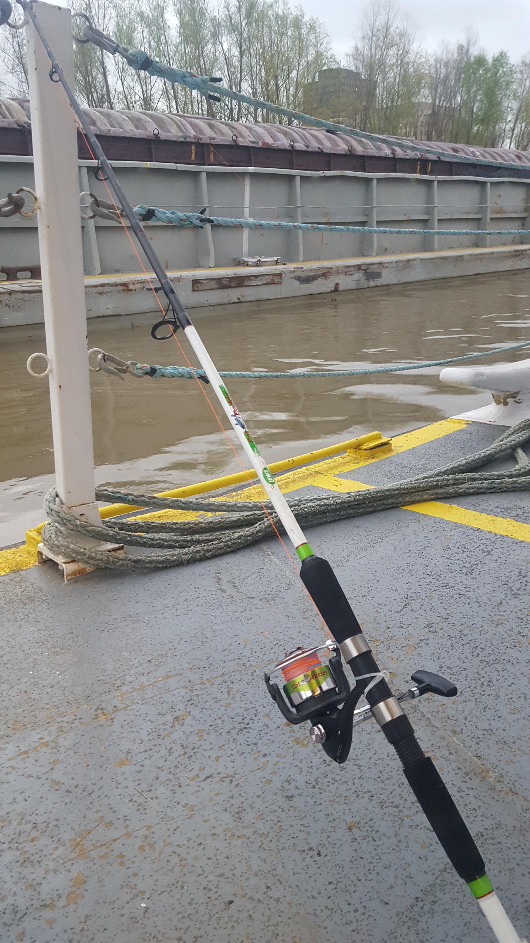 Brought a cheap WalMart rod to work in case if down time. Wonder if channels like pork chop. I