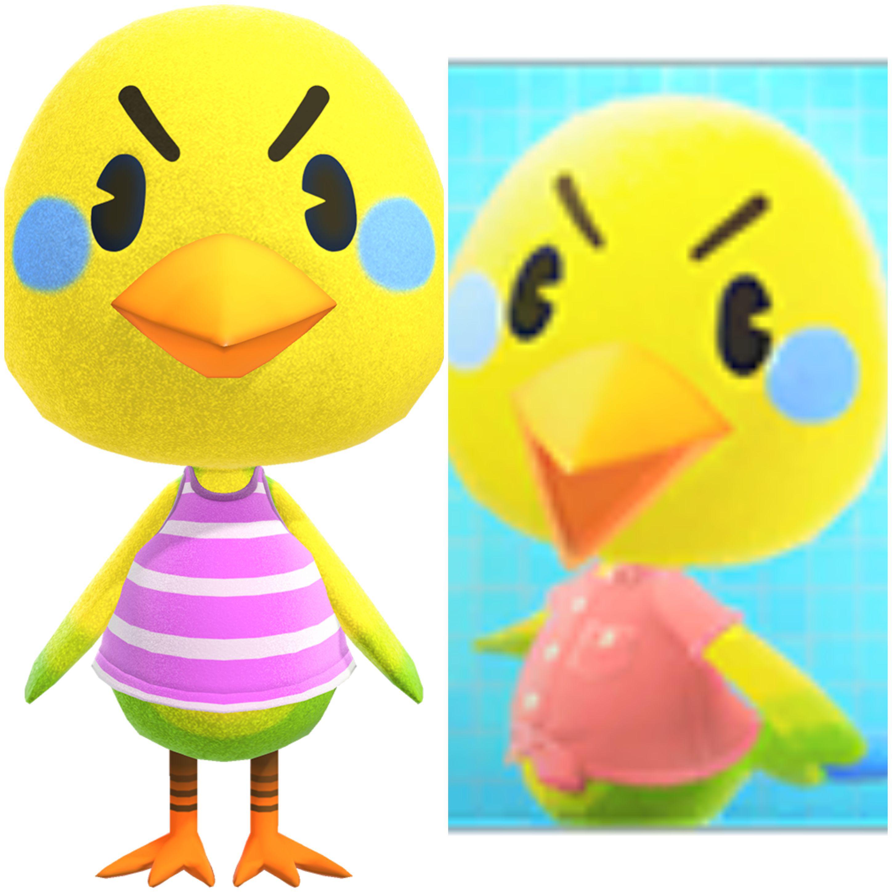 Screw Your Zodiac Sign, Who's your Animal Crossing Birthday Buddy