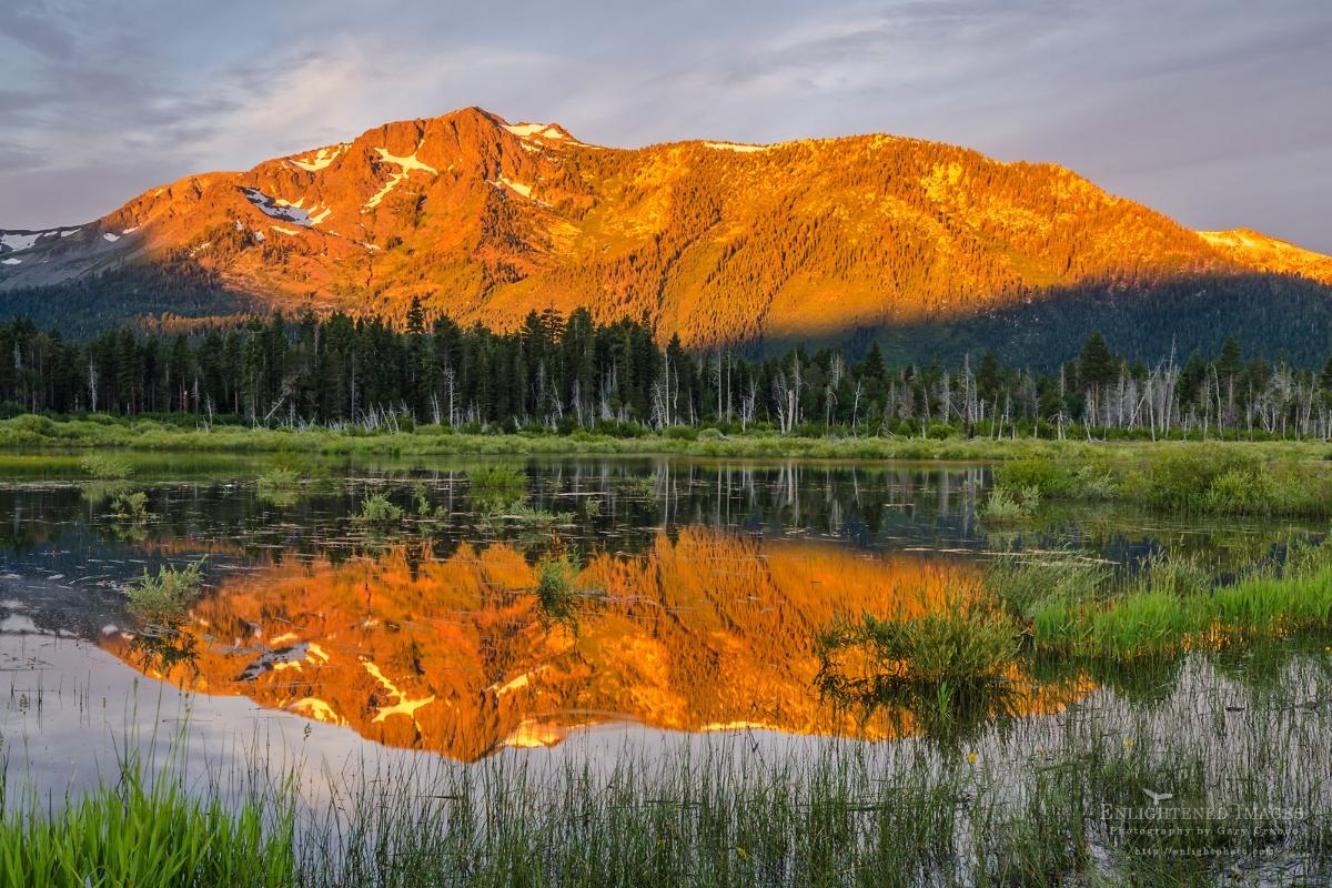A beautiful morning with Mt. Tallac reflected in Taylor Creek, near South Lake Tahoe, CA. [OC