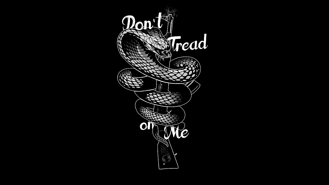 Don't Tread On Me (1366 x 768) r/wallpaper