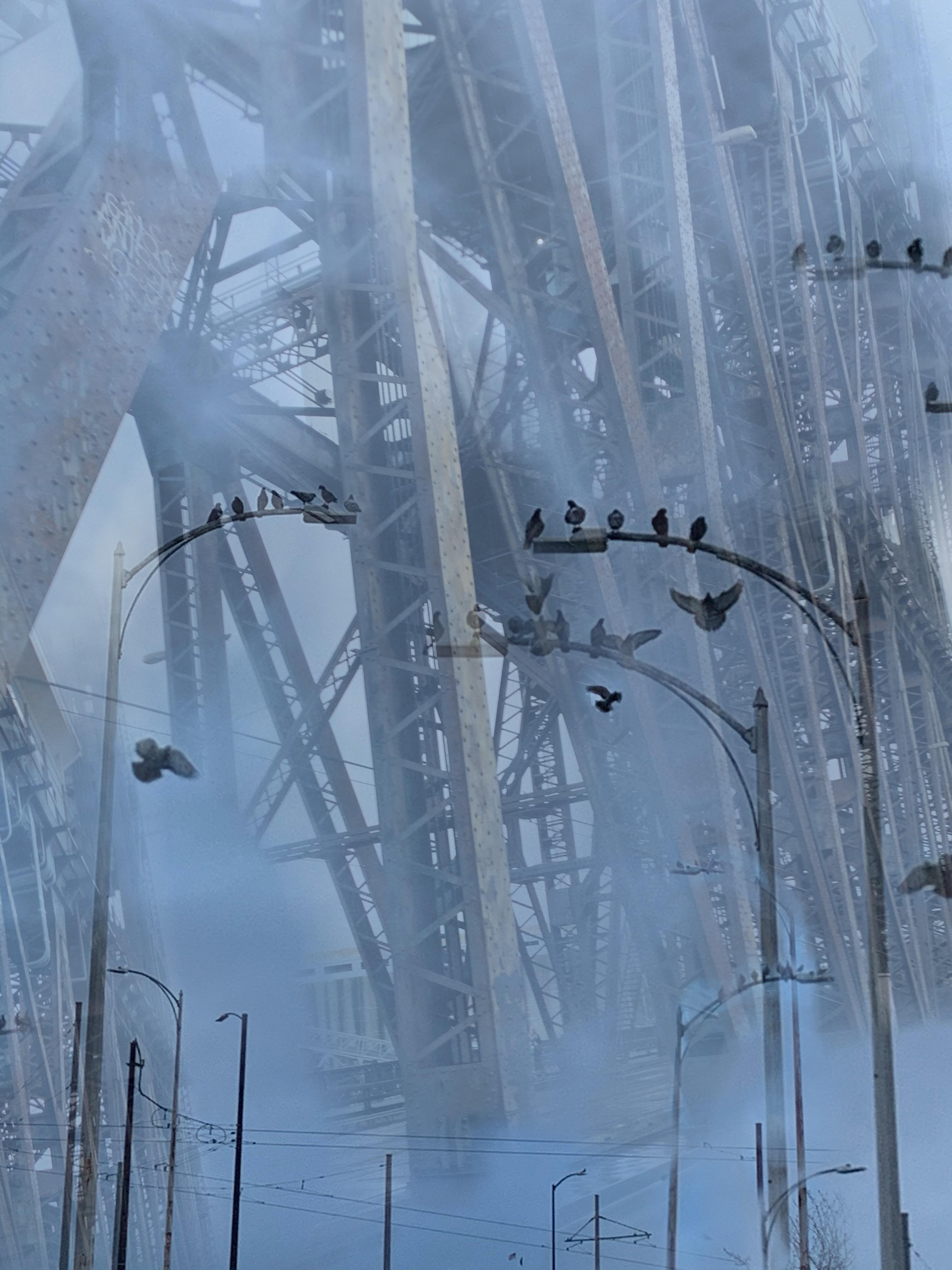 rack city r/QuarterLand