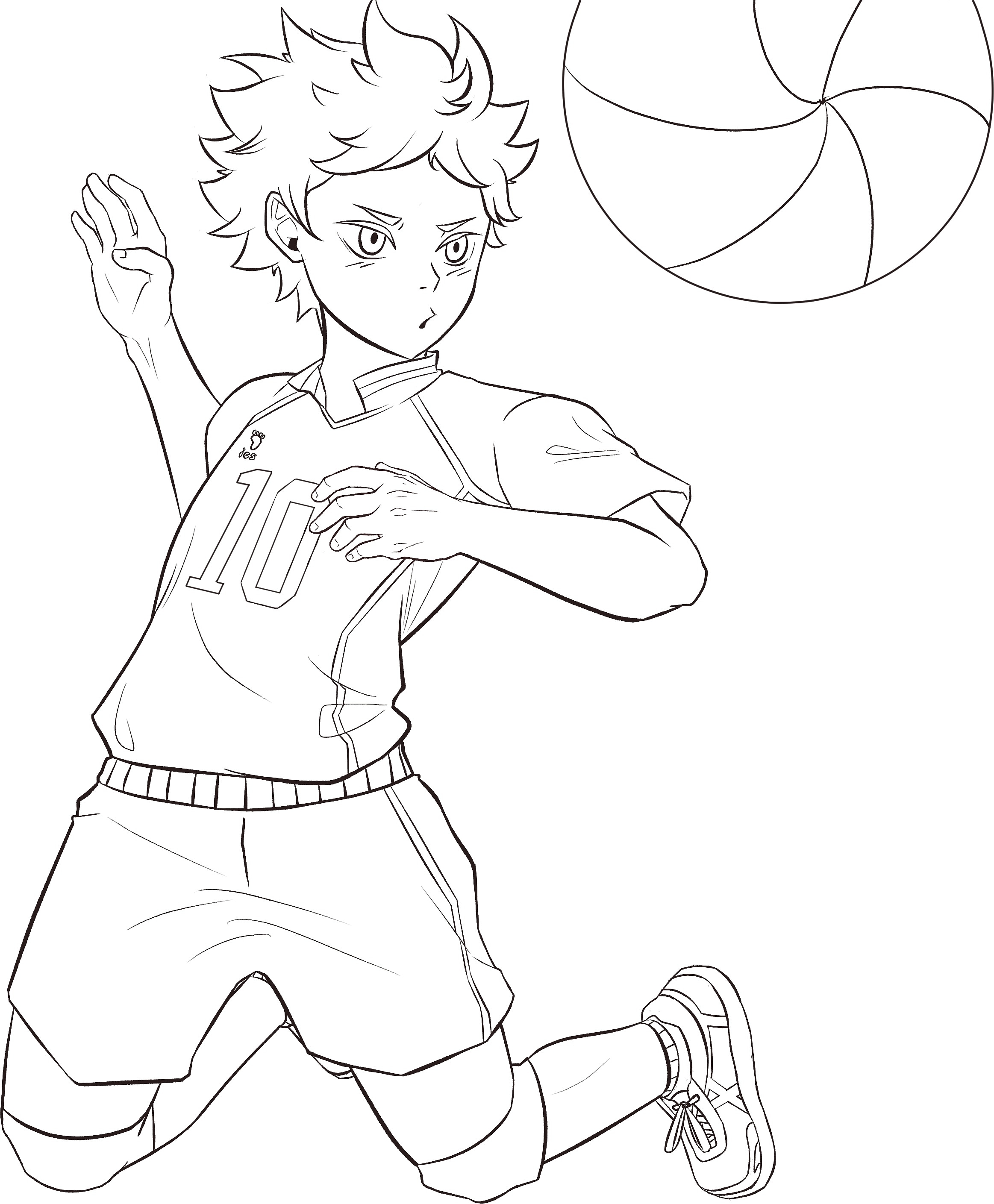 Shoyo Hinata Line art r/haikyuu