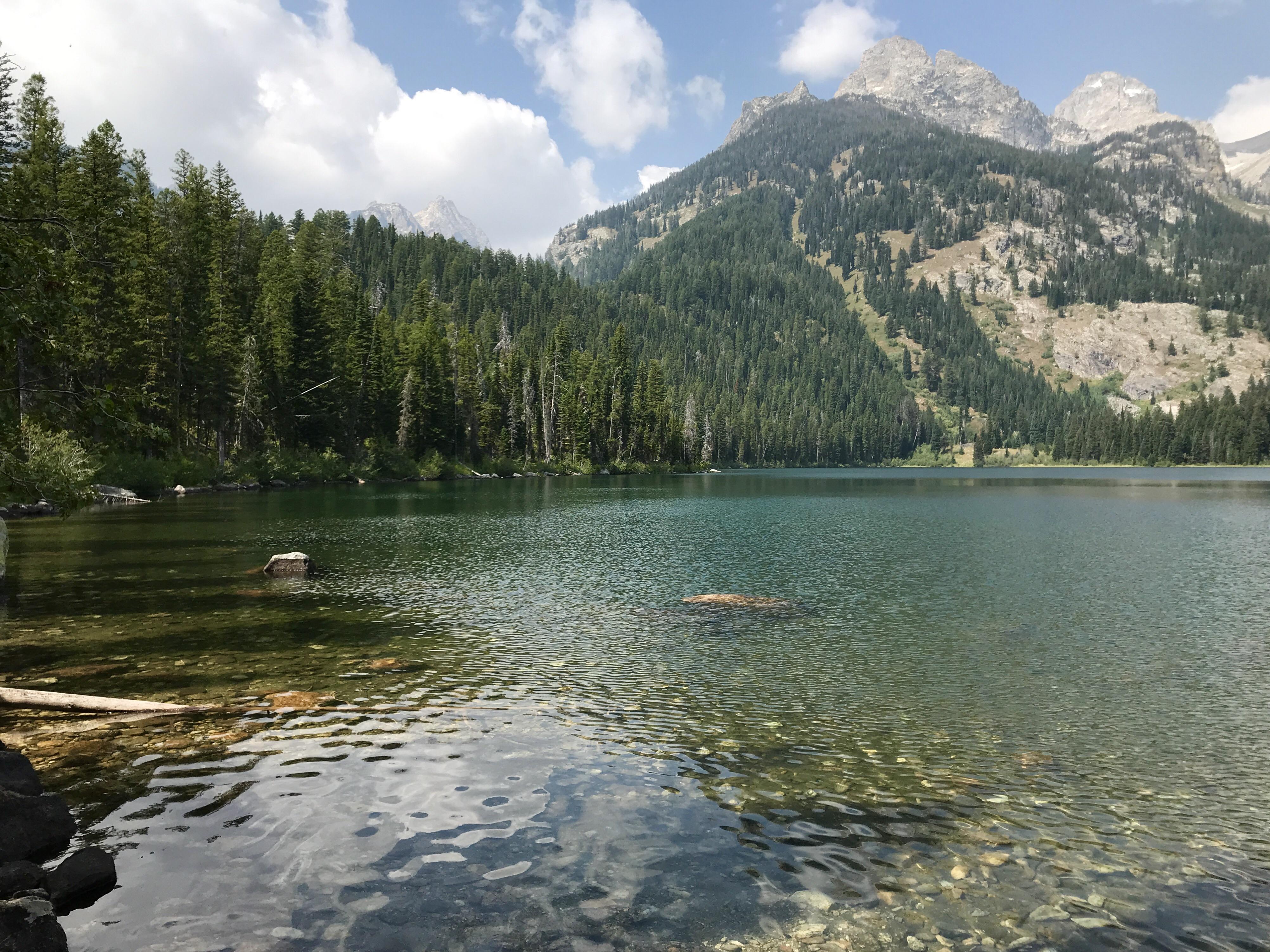 Bradley Lake, Grand Teton National Park, WY, USA r/hiking