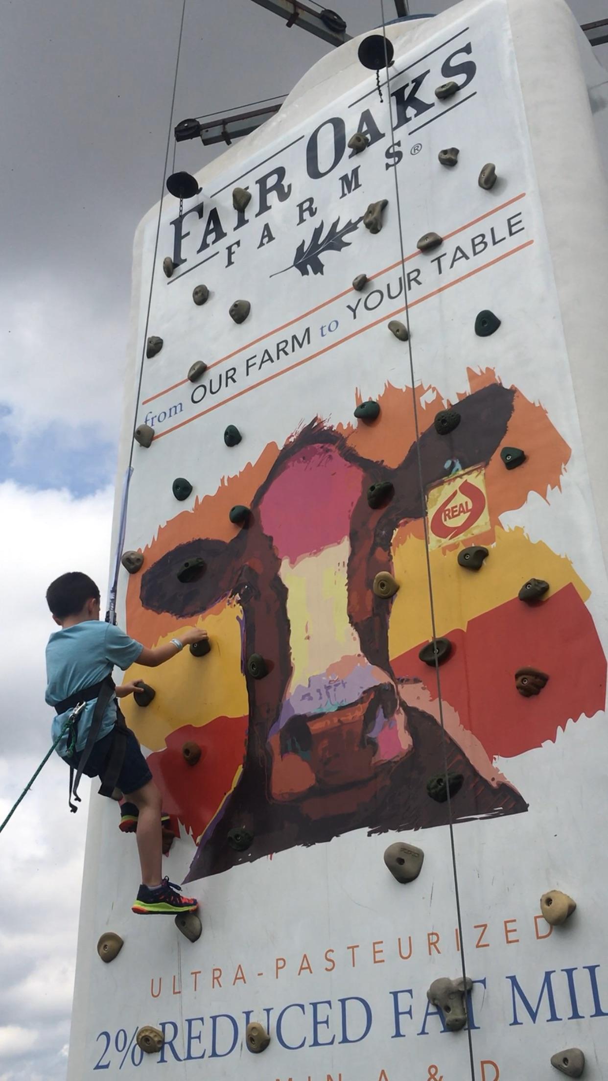This giant milk carton rock climbing wall r/mildlyinteresting