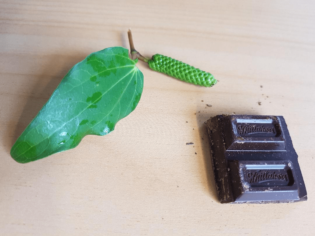Kawakawa Chocolate. Great idea or not? r/newzealand
