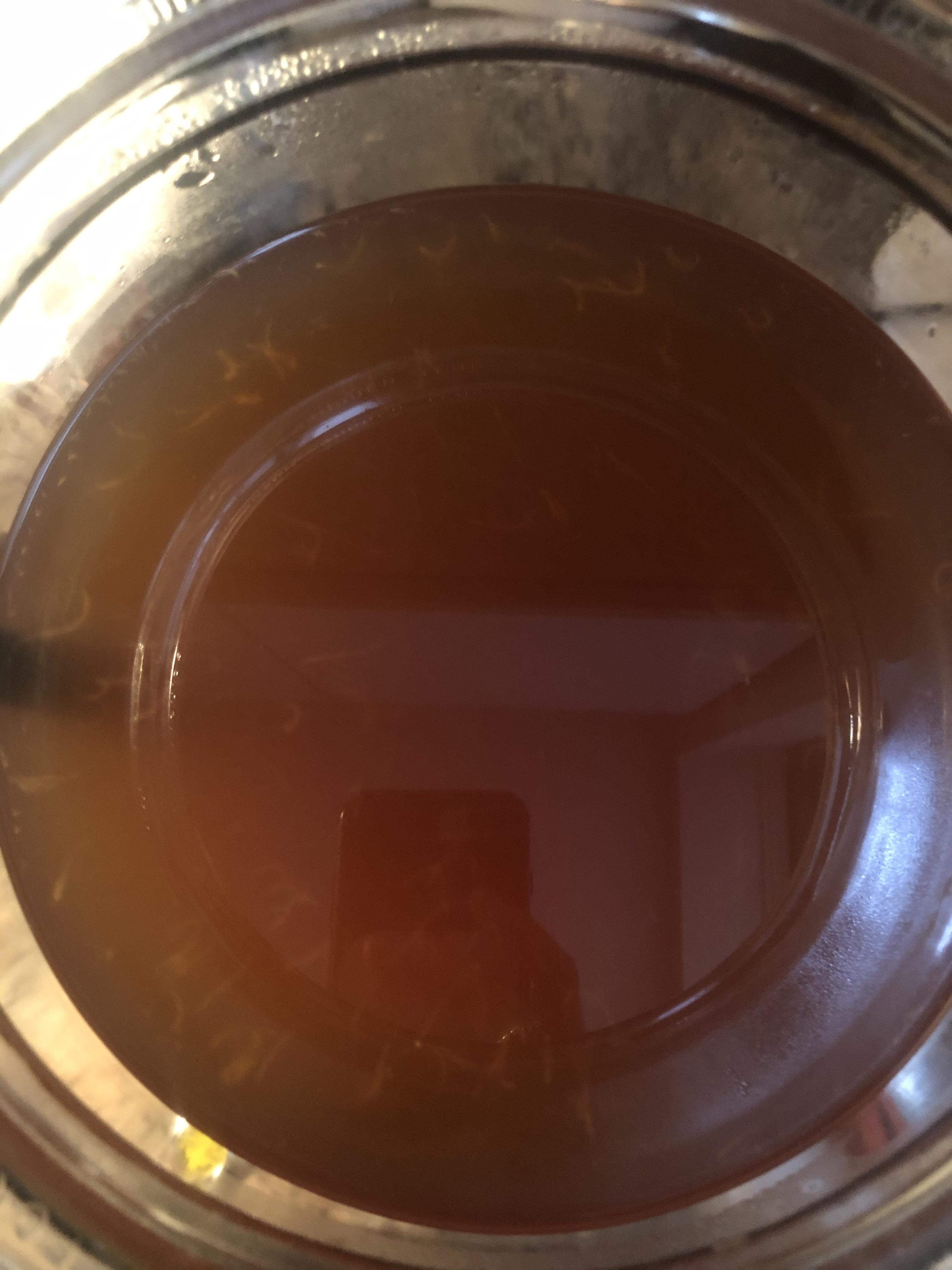 Vinegar Eels or New Yeastie Boys? Second batch of home brew with Scoby