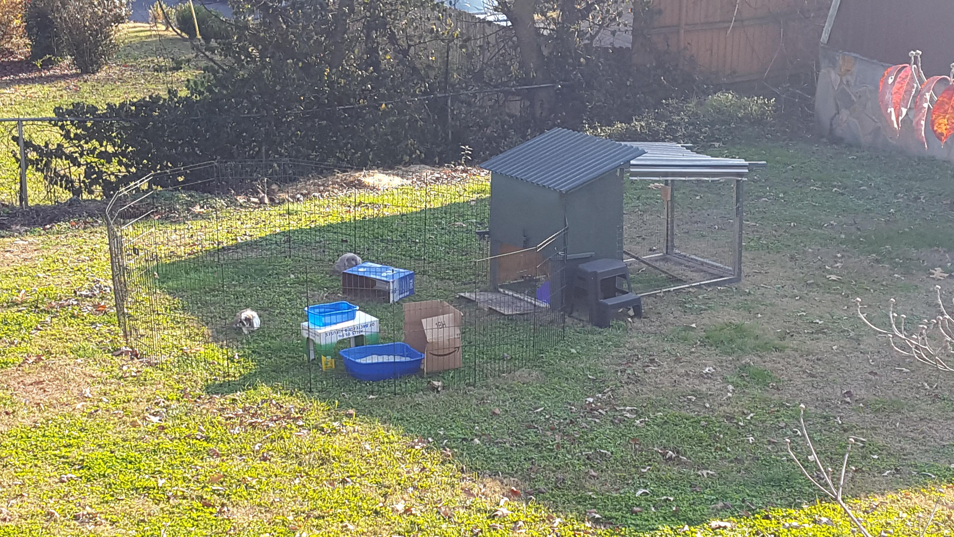 Bunny mansion free to a good home r/Rabbits