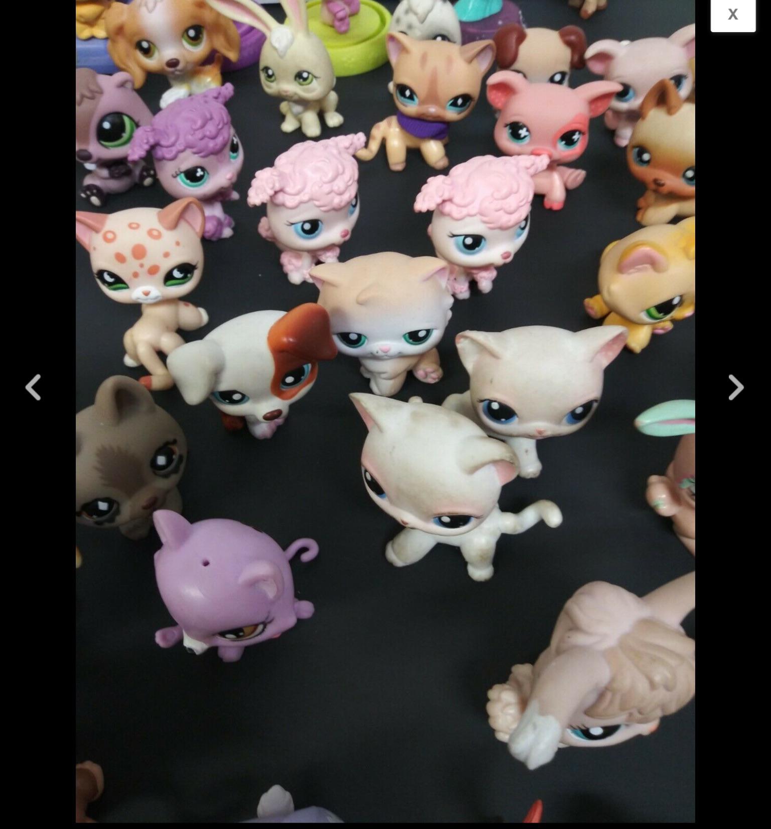 thought I’d ask if these any of these pets are fake/authentic as well