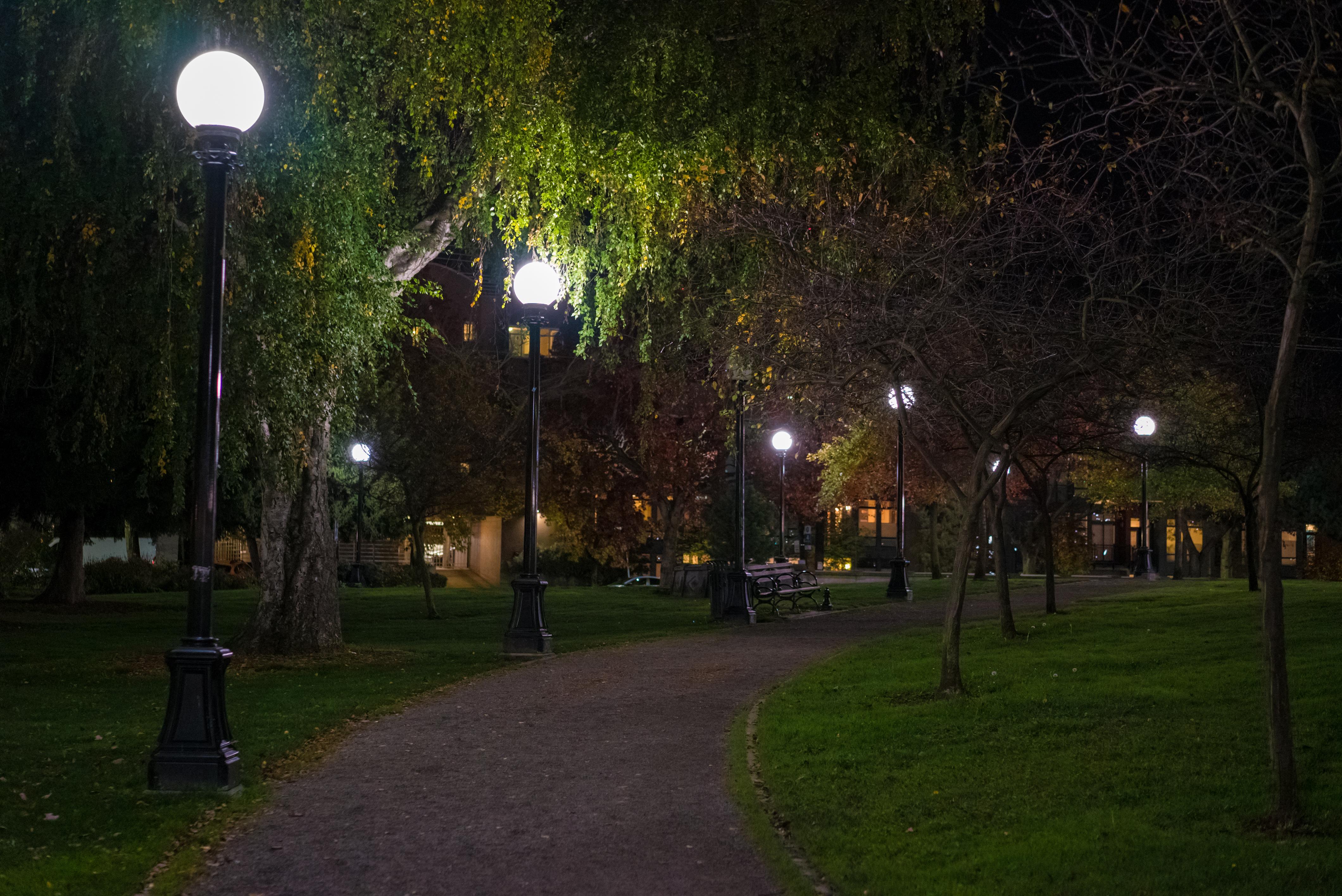 Cal Anderson Park at Night! SeattleWA