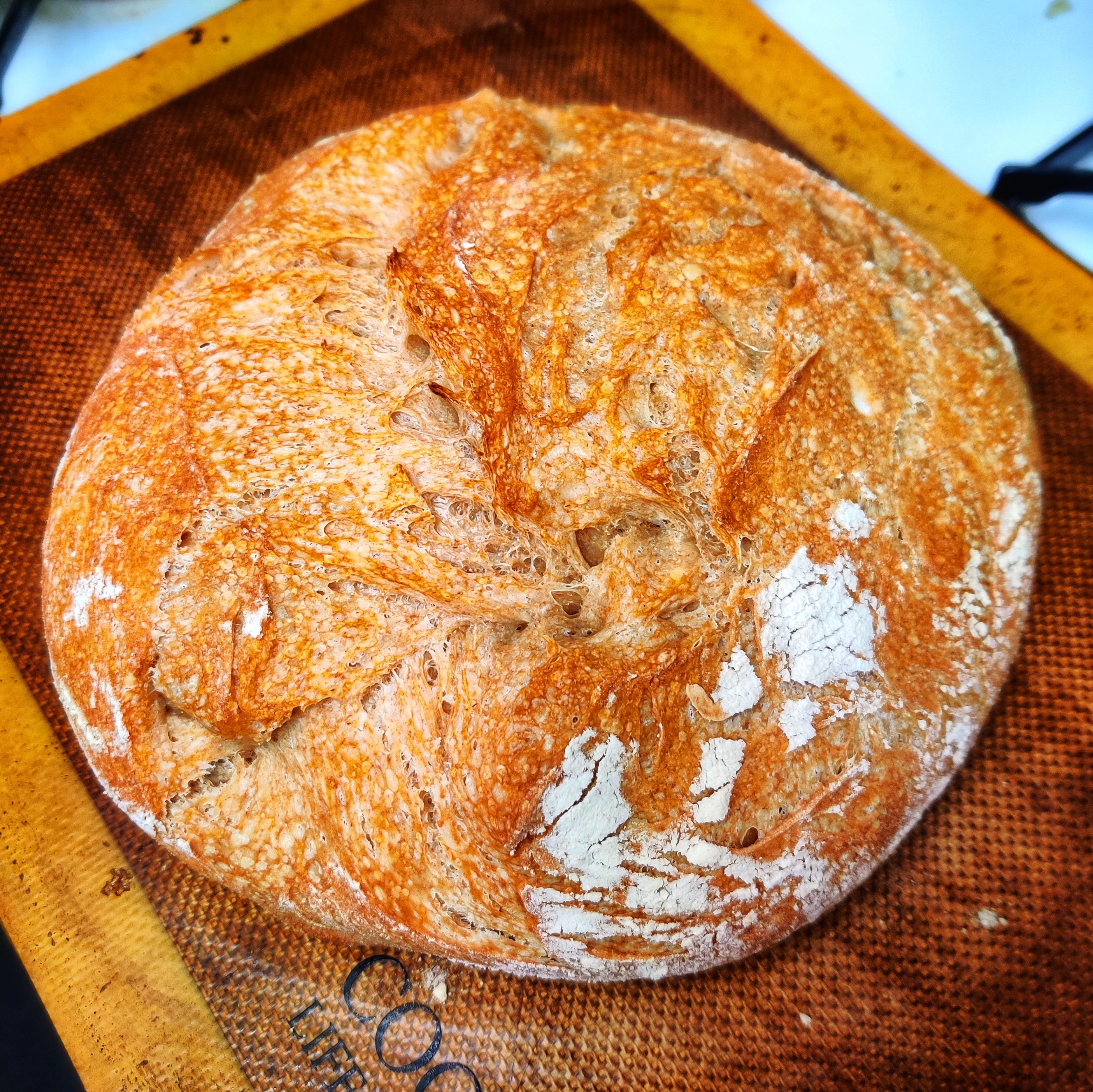No Knead Bread No Dutch Oven Reddit merfilmtransportkupplung