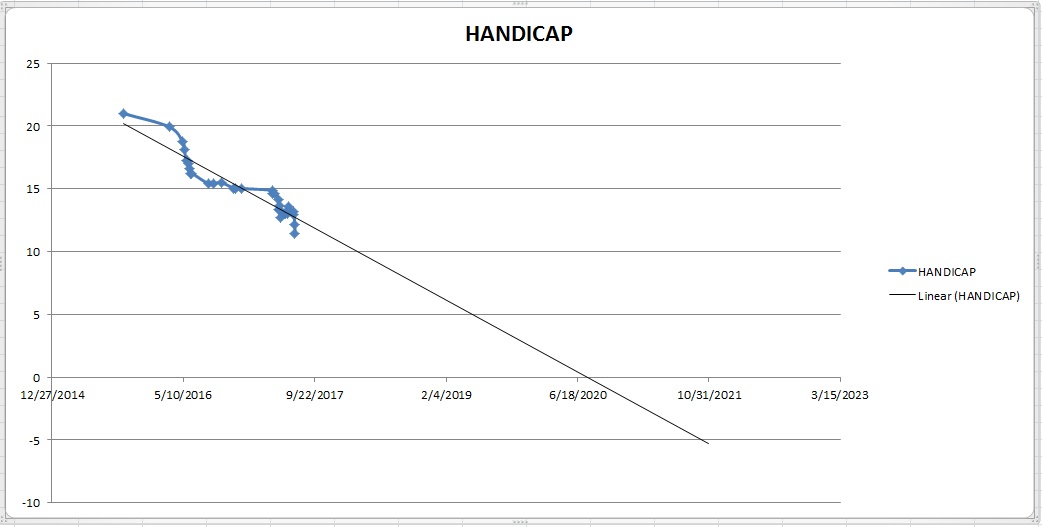 Looks like I'll be on tour in 2021, thanks excel golf