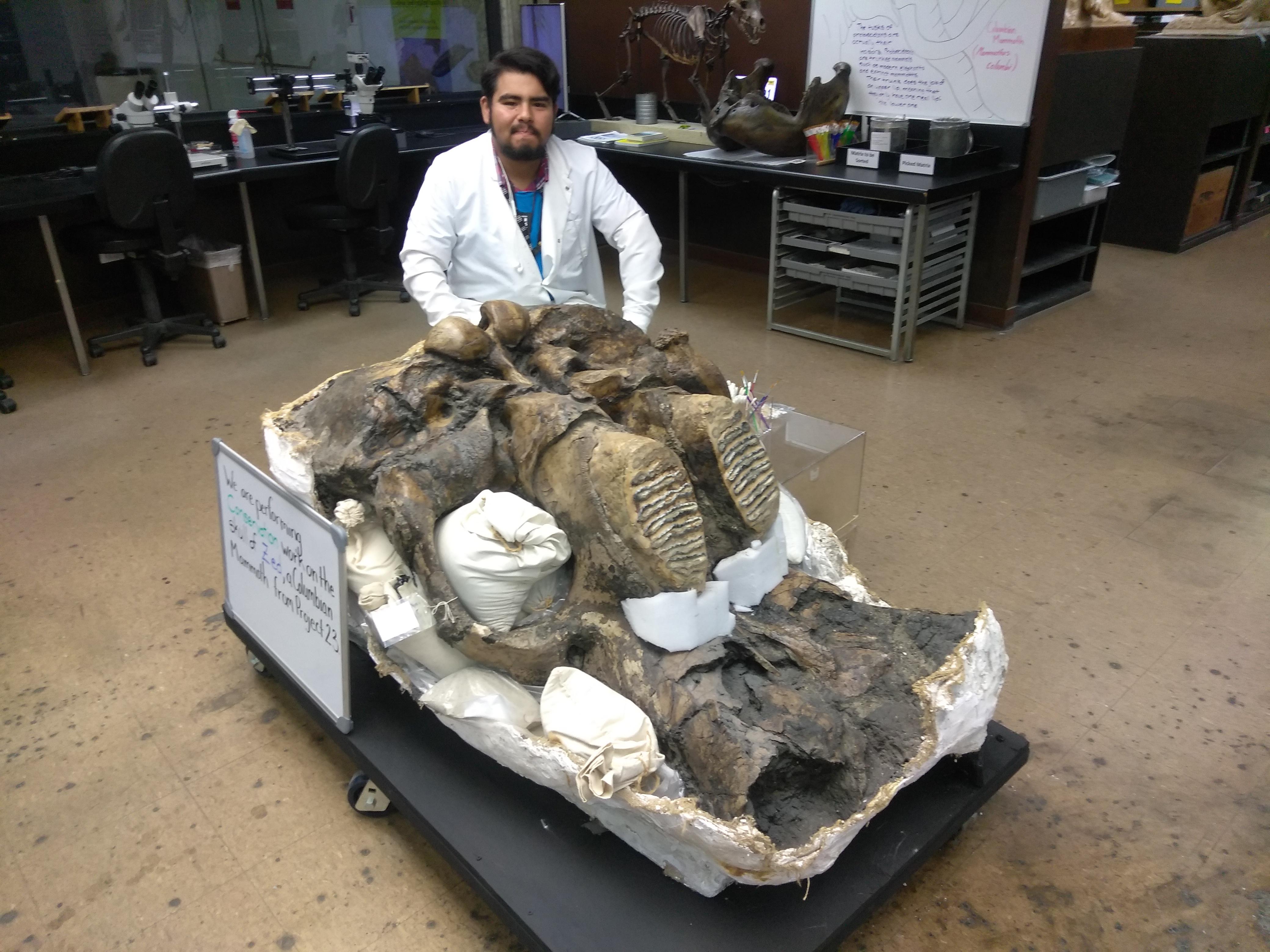 2851 best r/paleontology images on Pholder Thoughts on this? I can’t