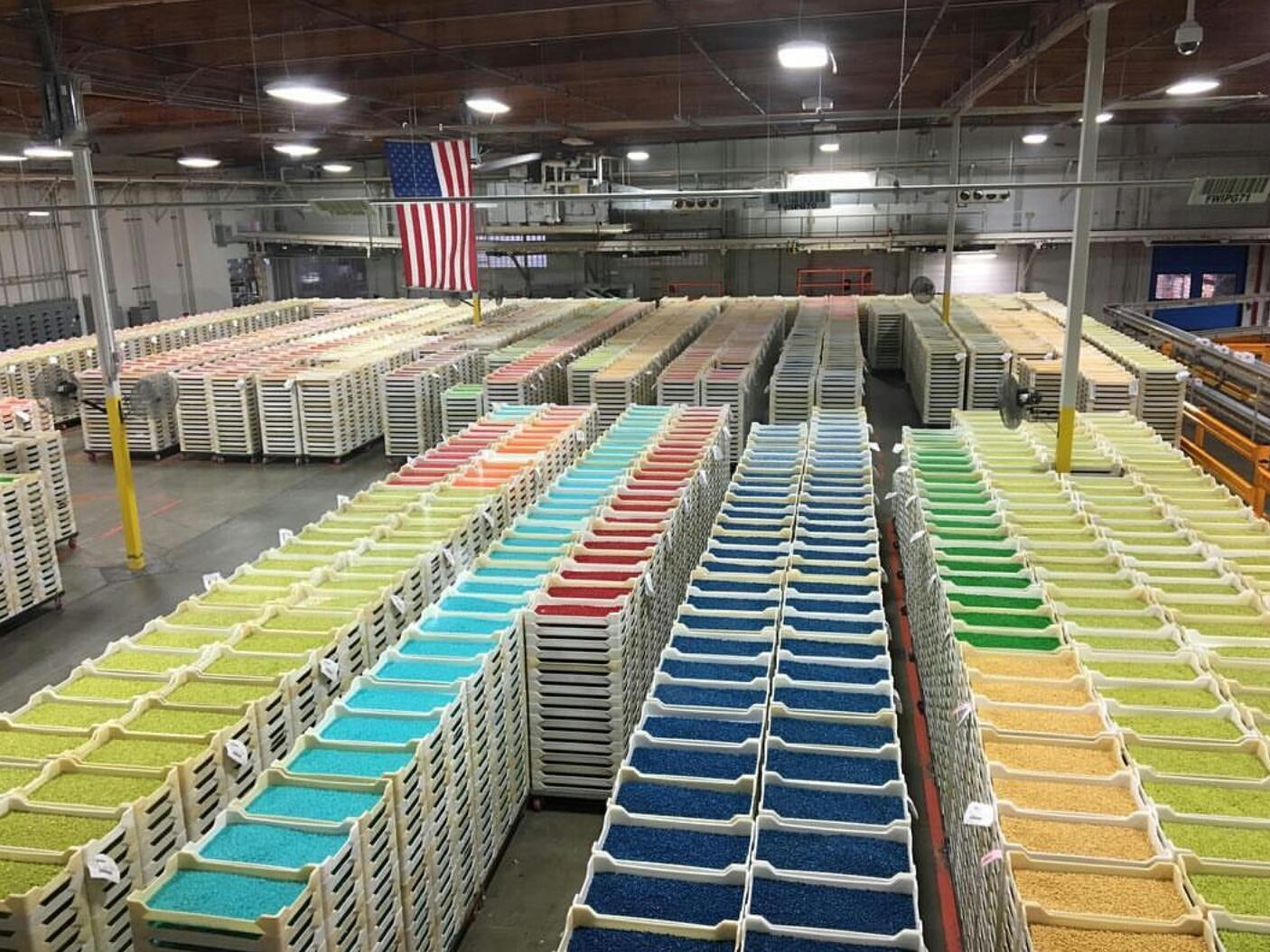 JellyBelly factory [1406x1055]