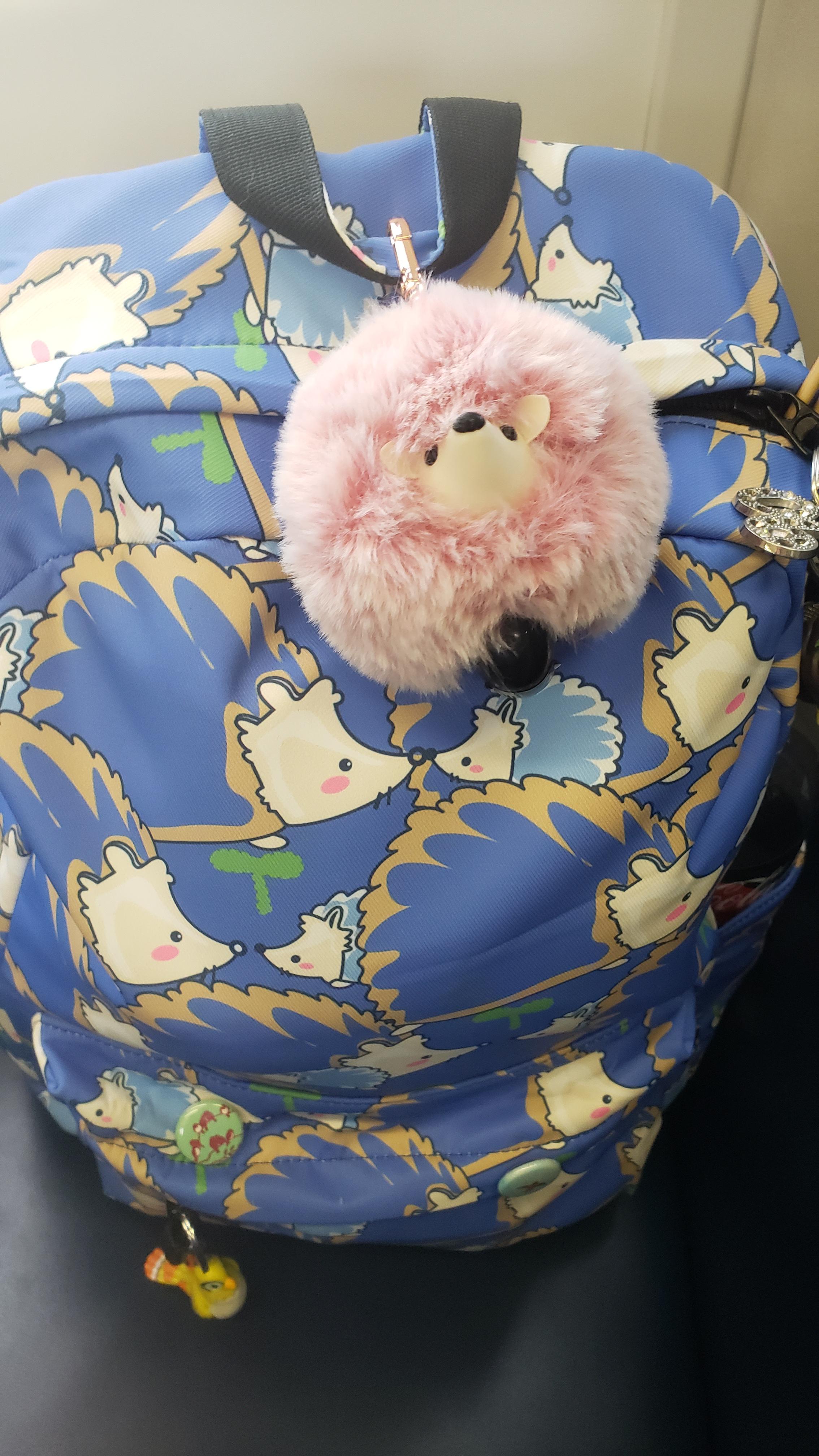 Bath and Body Works has a pink hedgehog hand sanitizer holder, so I had