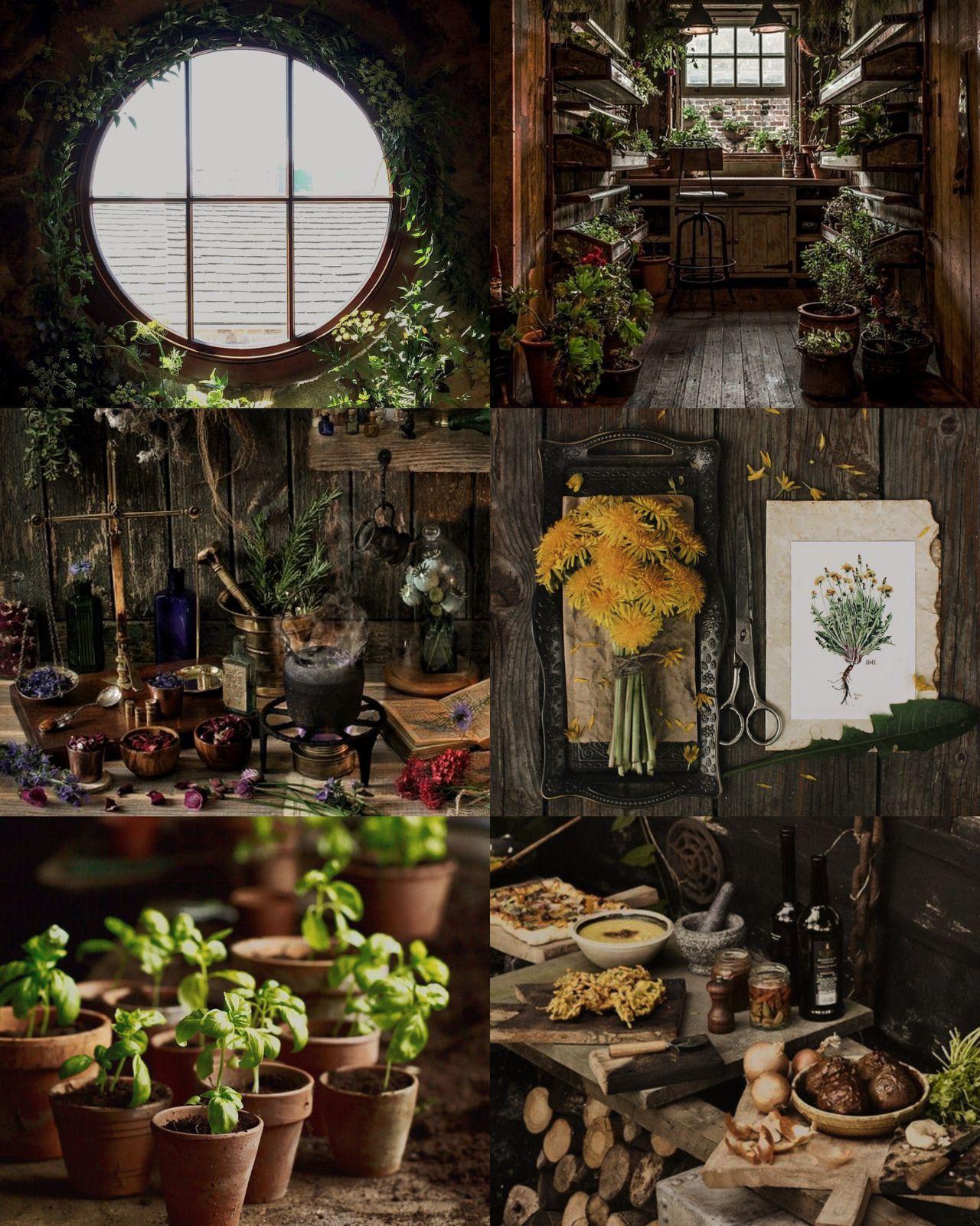 Is the nature witch aesthetic just Cottagecore after dark? r/cottagecore