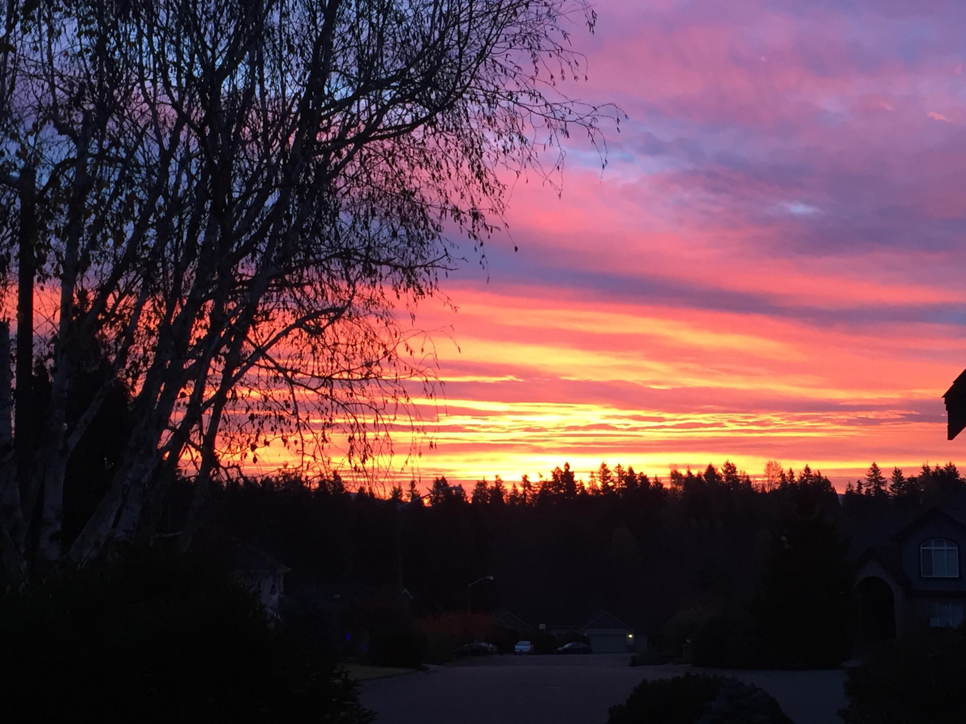 SunriseWestern Washington (state) r/pics