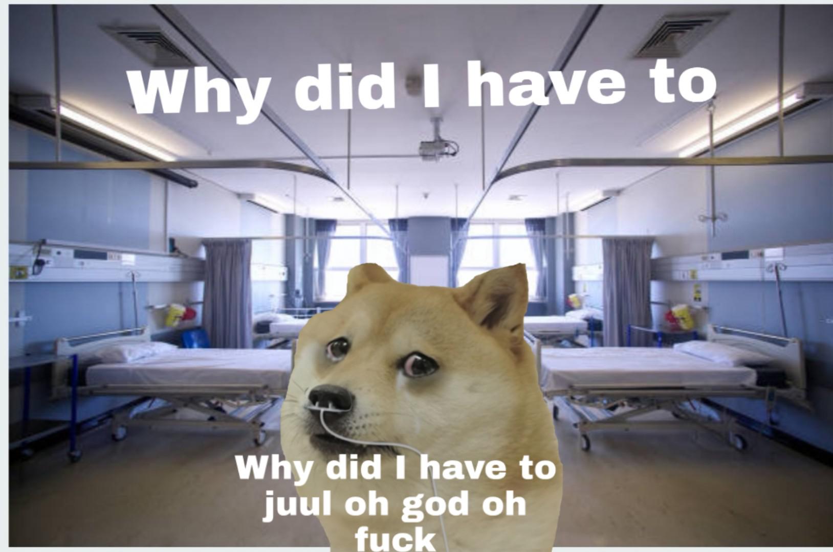 Le popcorn lung has arrived r/dogelore