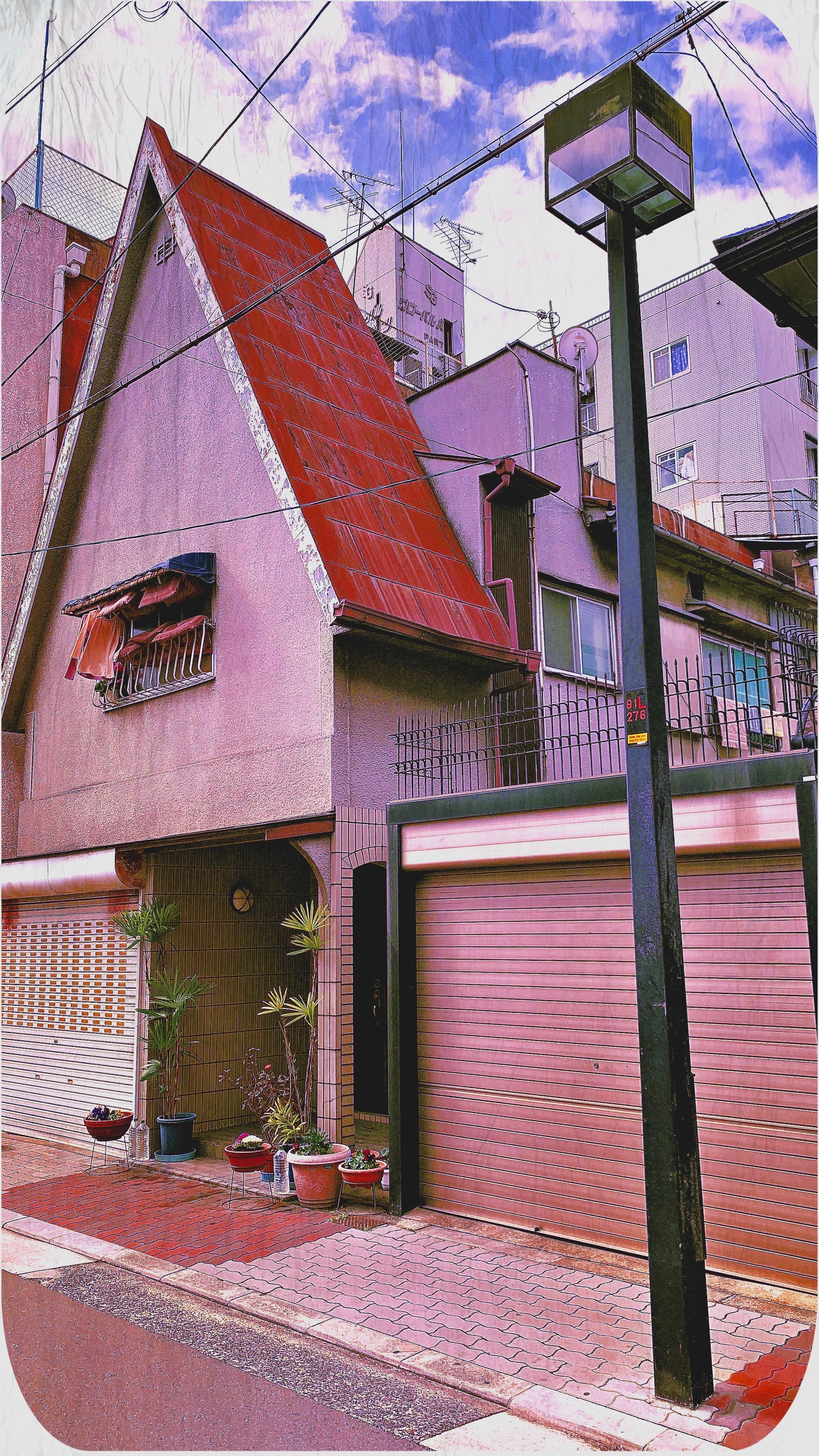 House in my neighborhood, Osaka r/japanpics