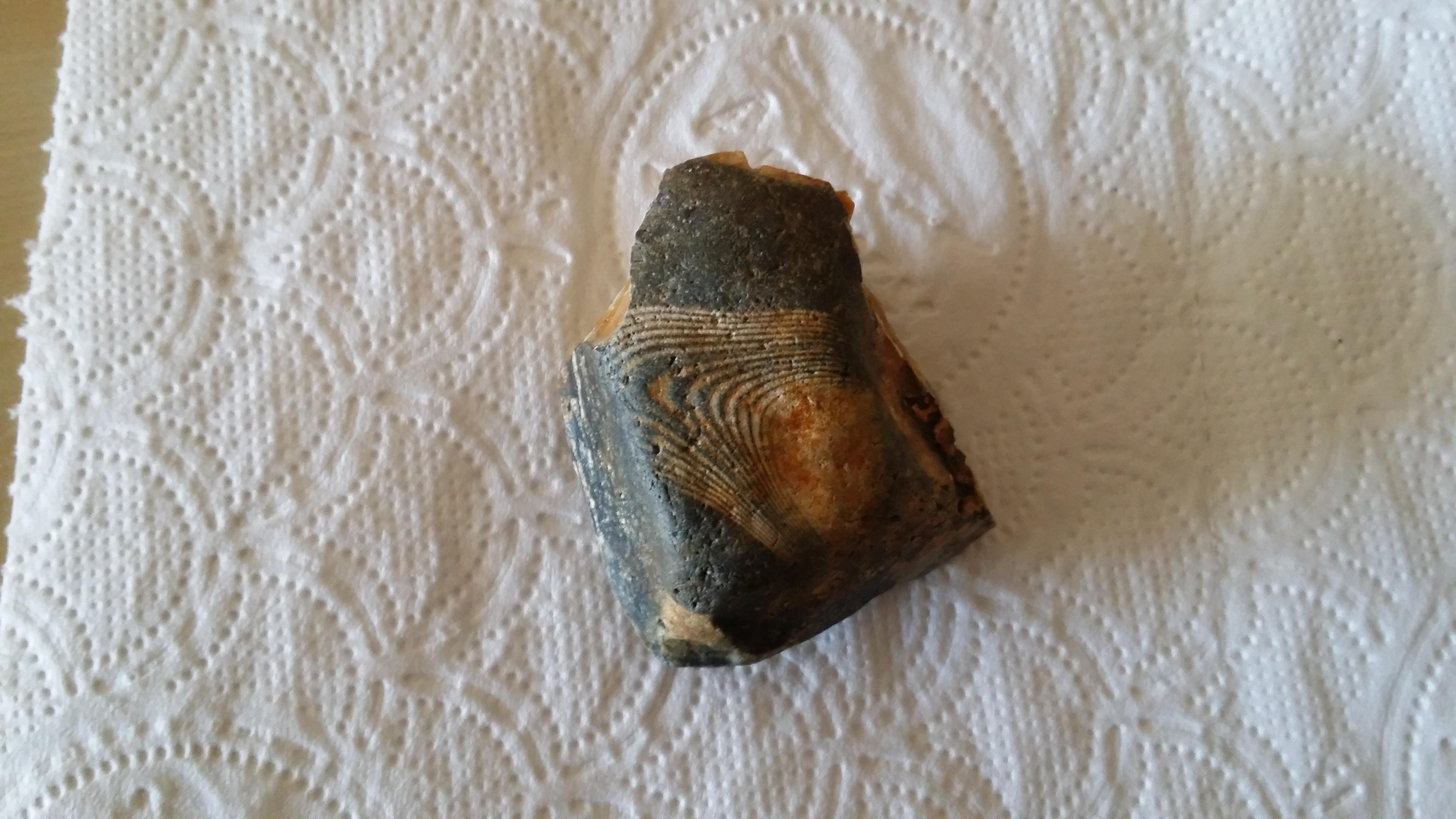 Probably not a fossil? But what is this? (Found at Lepe beach