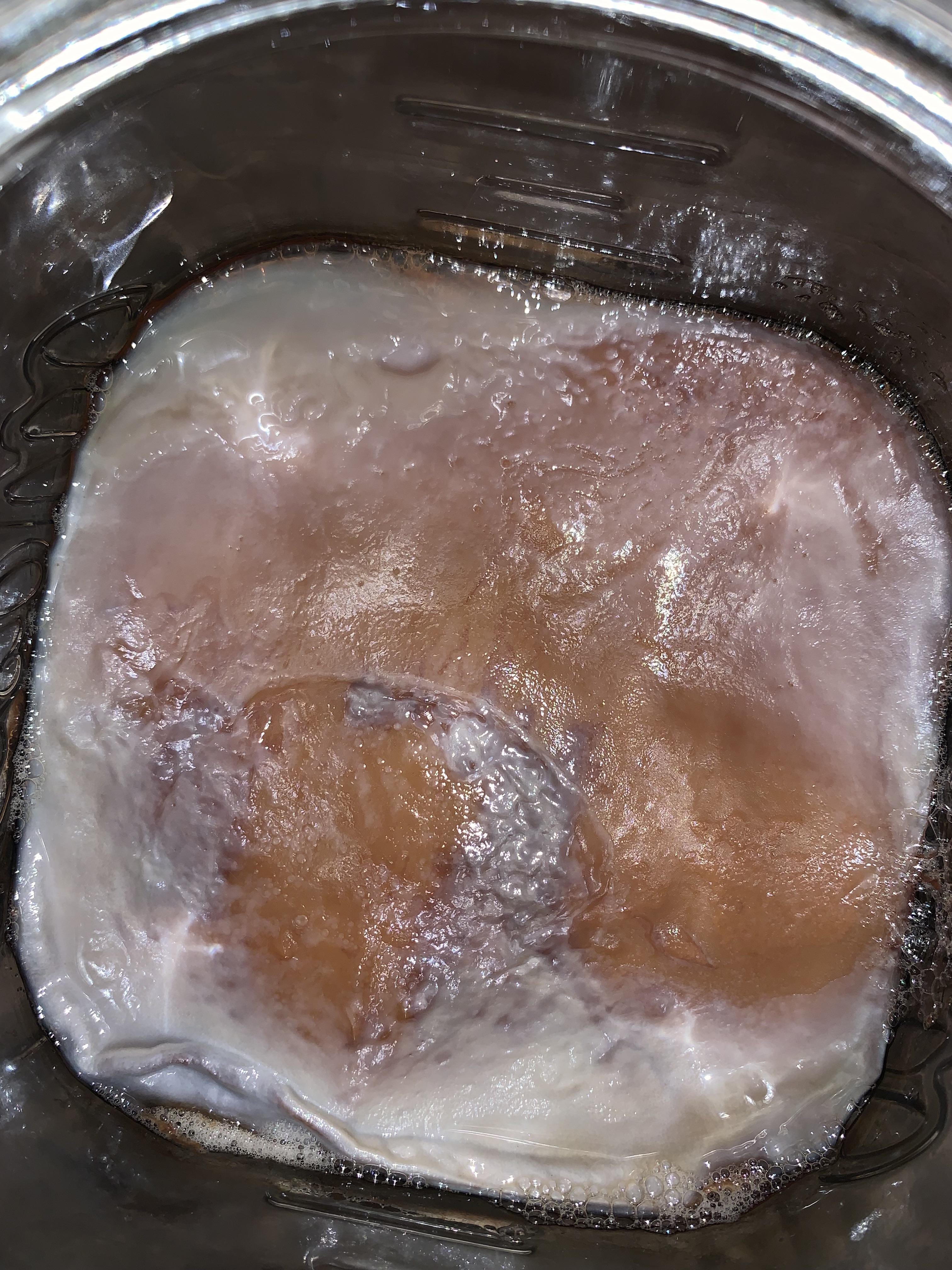 What’s wrong with my scoby? Is this kahm or mold? Can I save it or do I