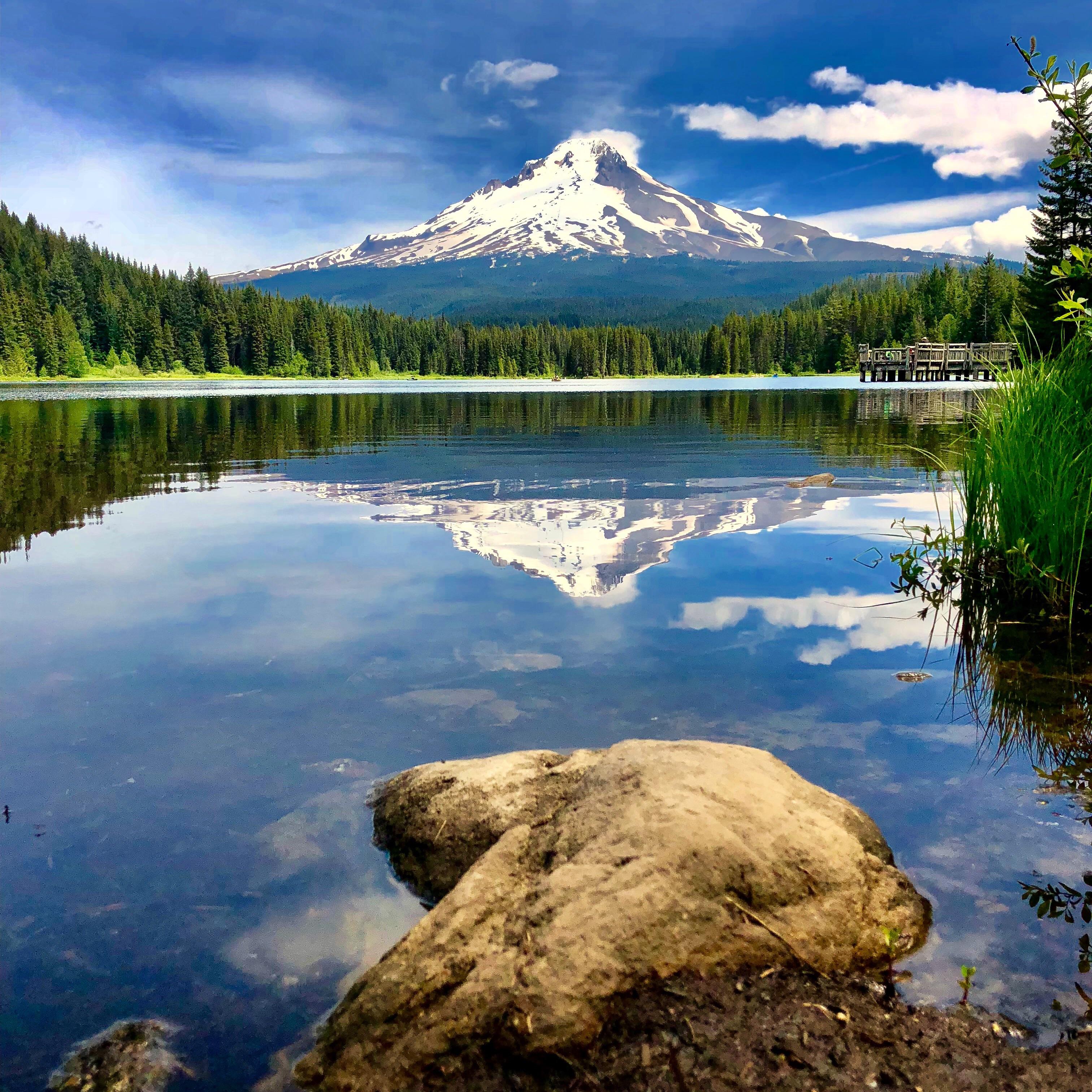 Another day in the hood r/Portland