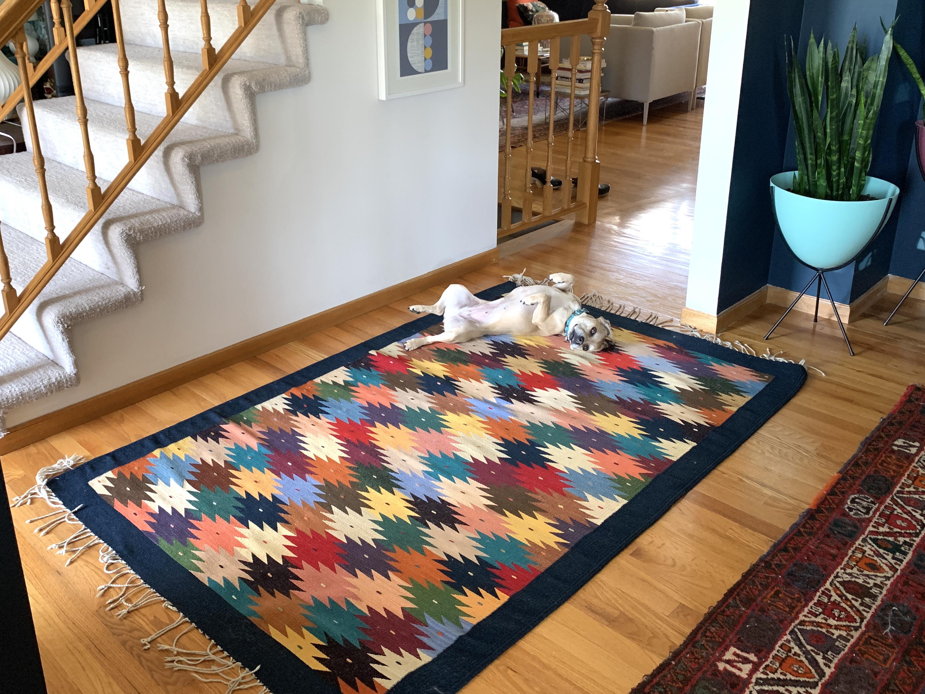 I found this wool kilim rug for 20 and it looks unused. It is so rare