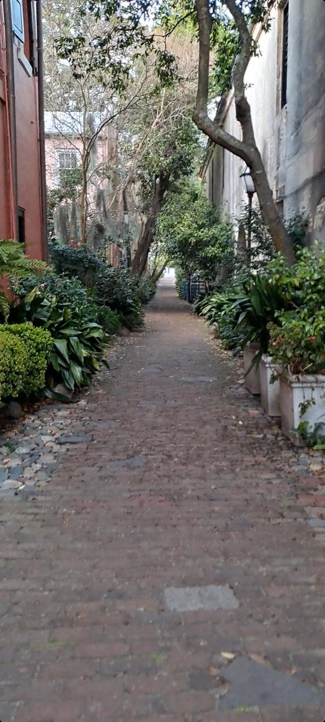 My favorite smoke spot in downtown Charleston! 🍄 r/Charleston