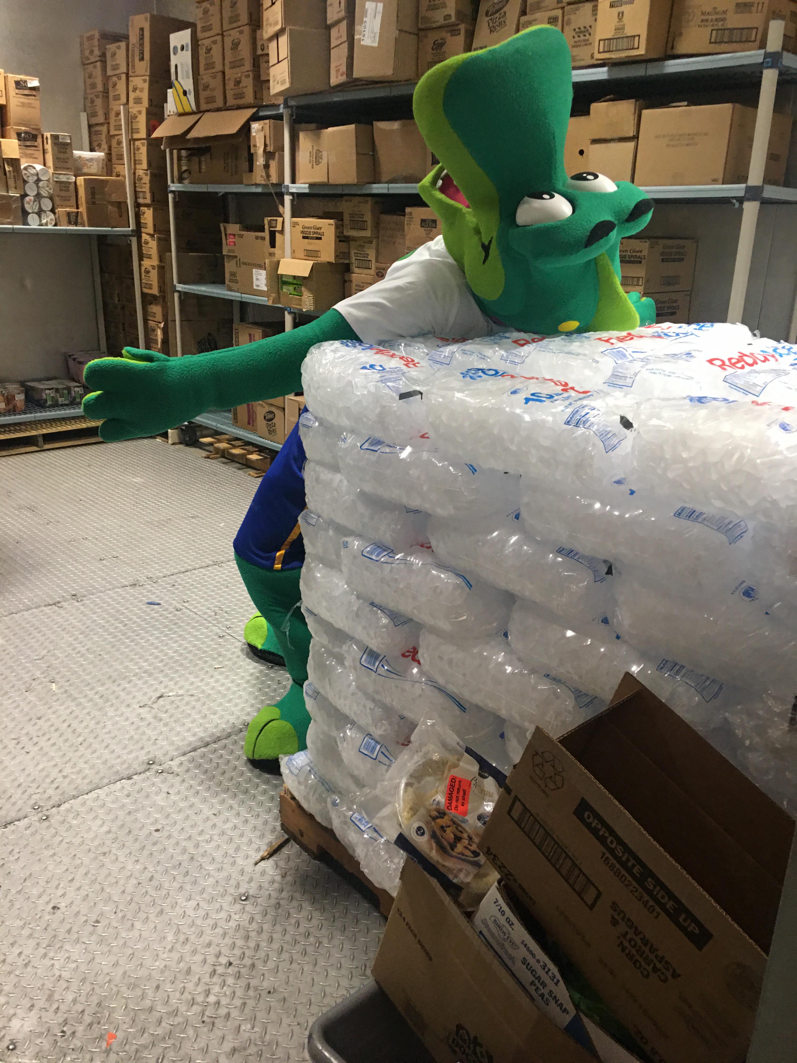 Plato was having a rough day! Happy 15 year anniversary to my Publix in