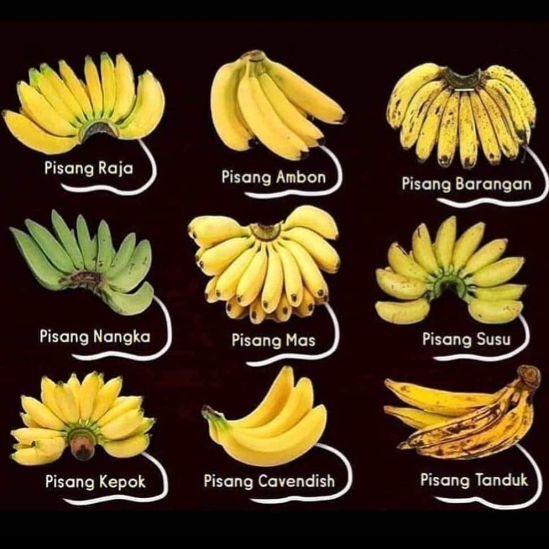 Which one is your favourite pisang? r/malaysians