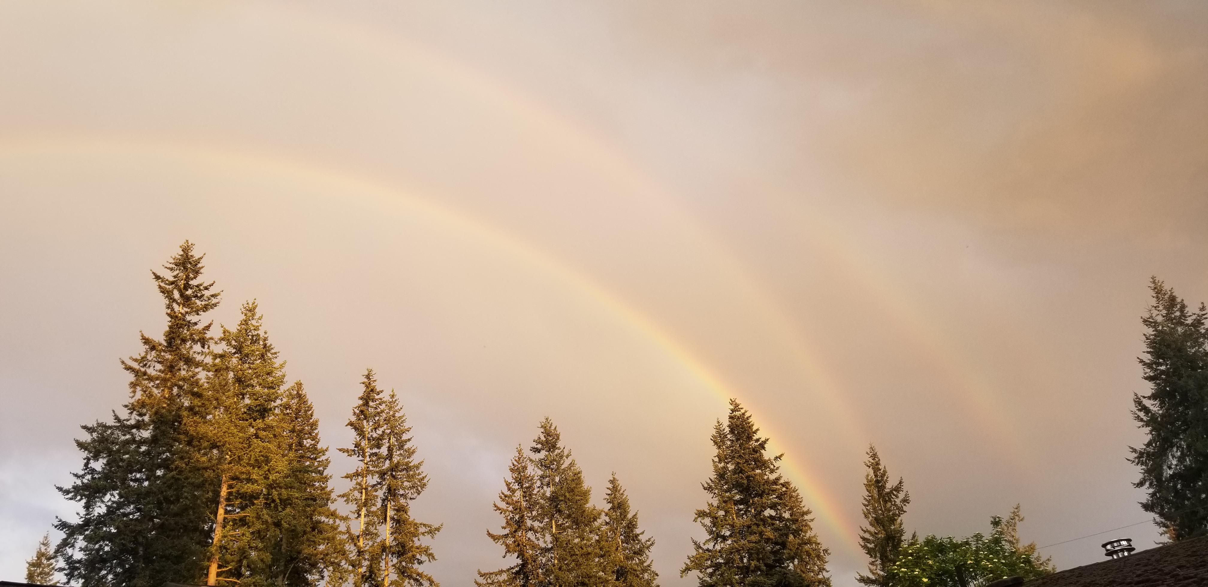 Triple rainbow in WA State r/mildlyinteresting