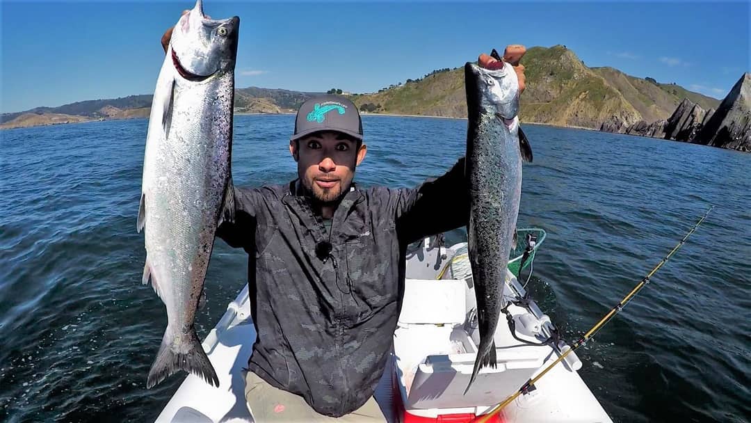 Caught some decent sized keeper Salmon off the waters of San Francisco