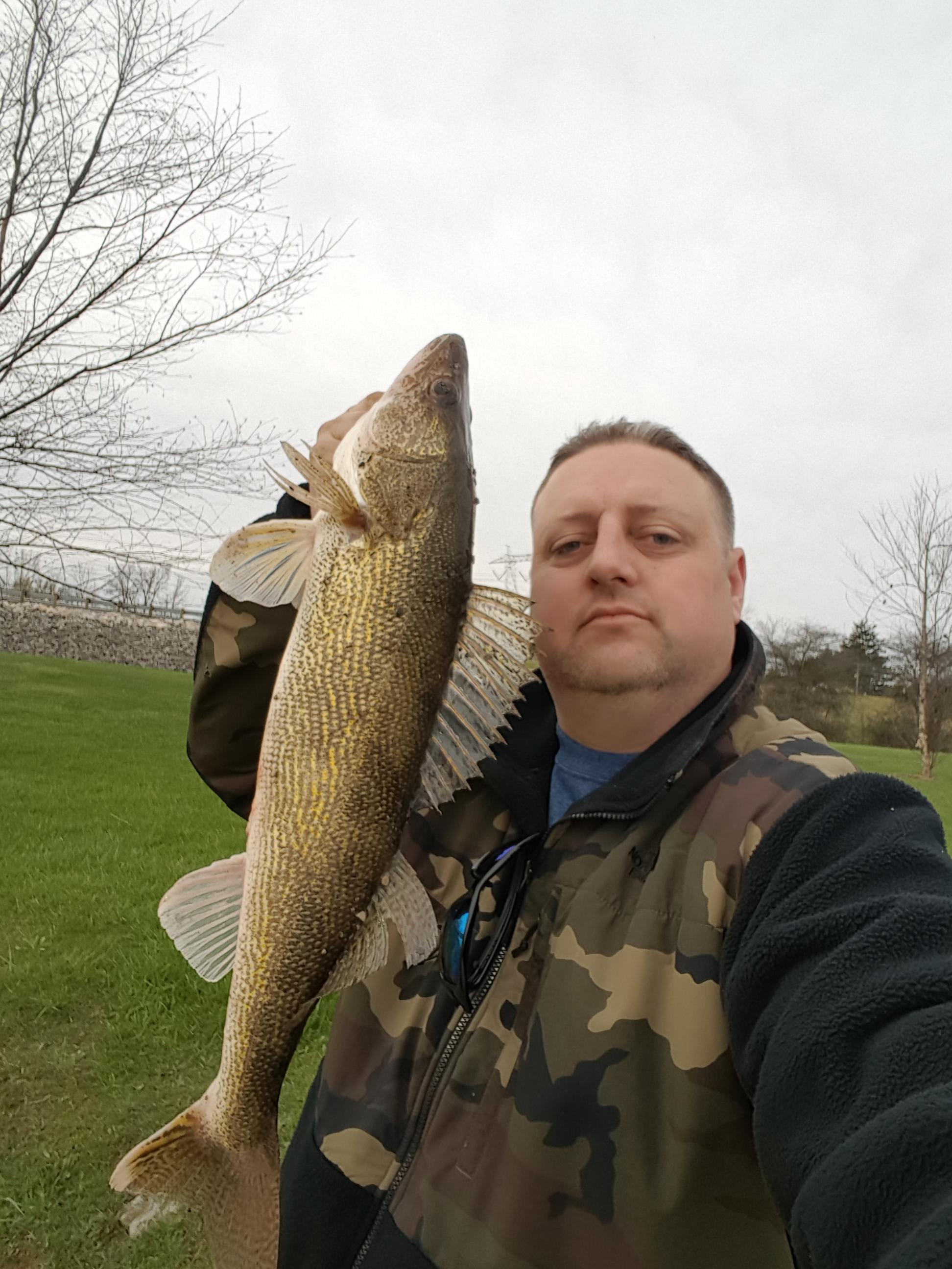 26" saugeye. Ohio State record is 30" r/Fishing