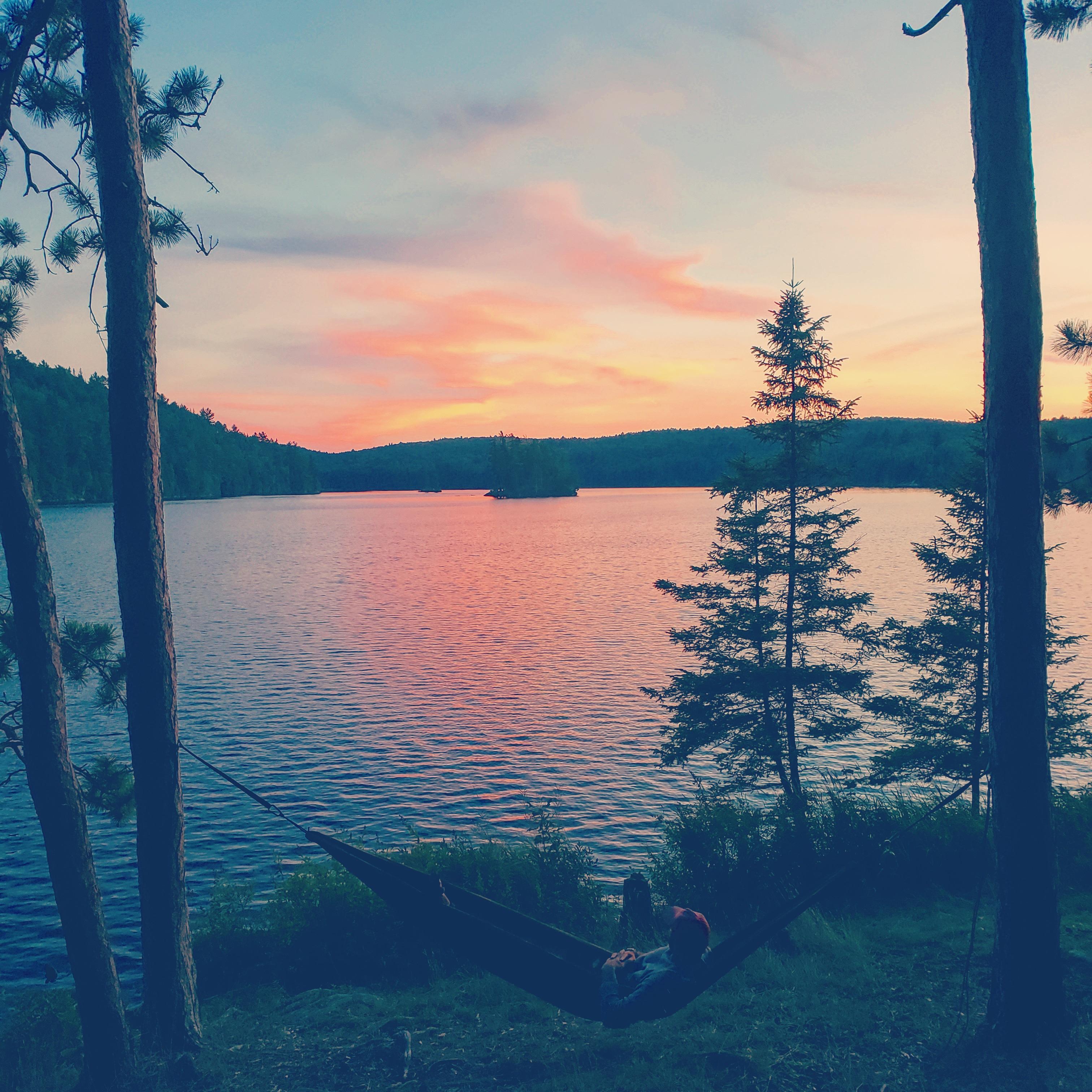 Tom Thomson lake. Algonquin park, Canada r/CampingandHiking