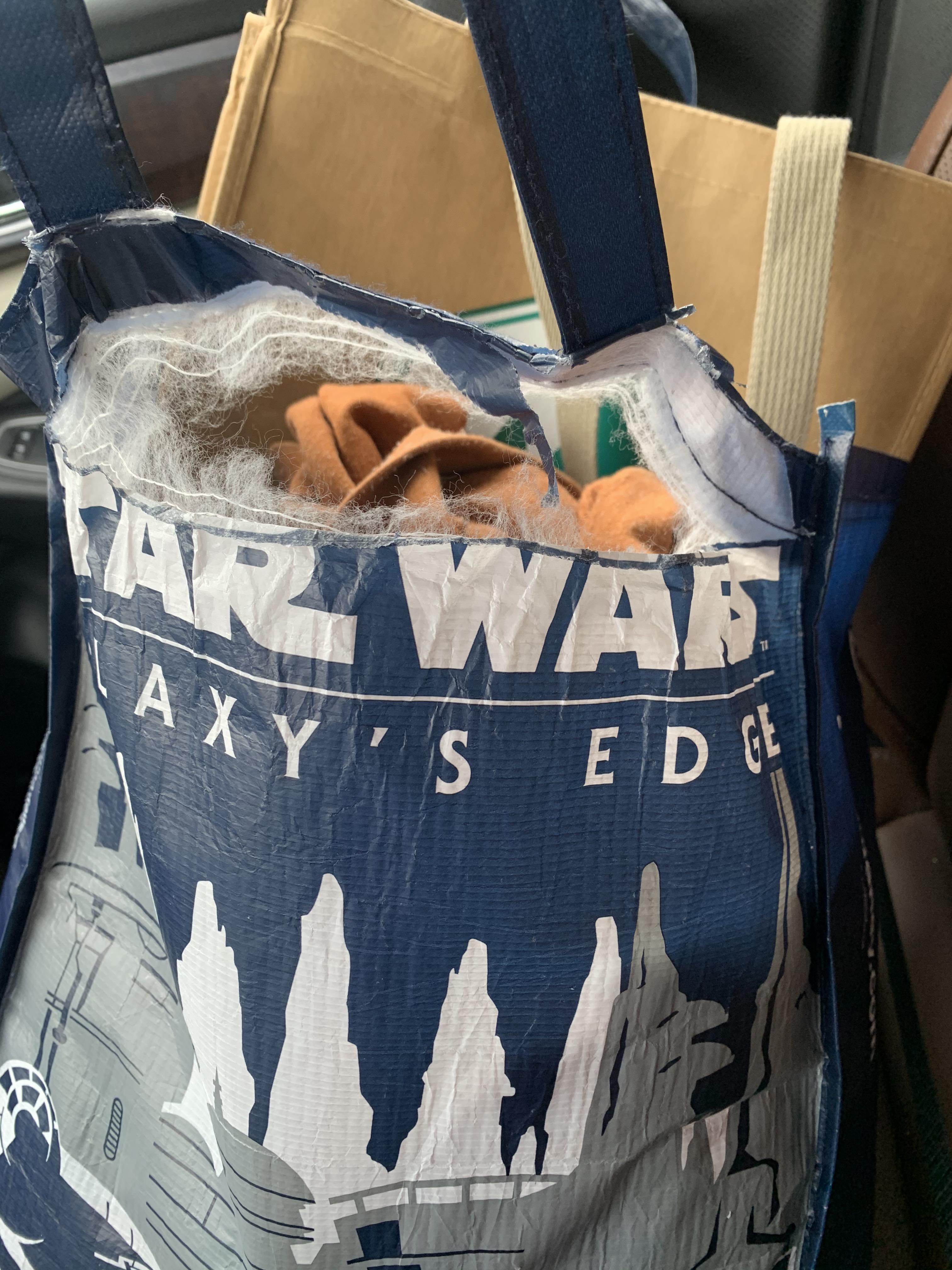 Has anyone else’s reusable bag fallen apart? r/WaltDisneyWorld