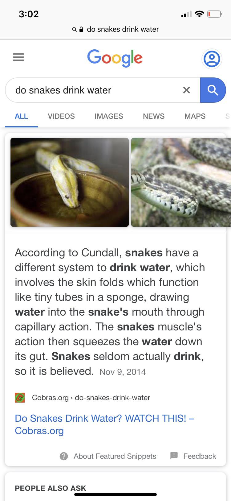 Do snakes drink water? r/TIGoogled