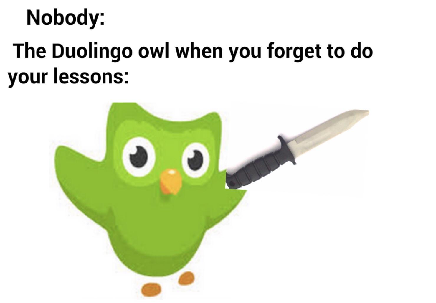 Do not hurt me Duolingo owl r/dankmemes