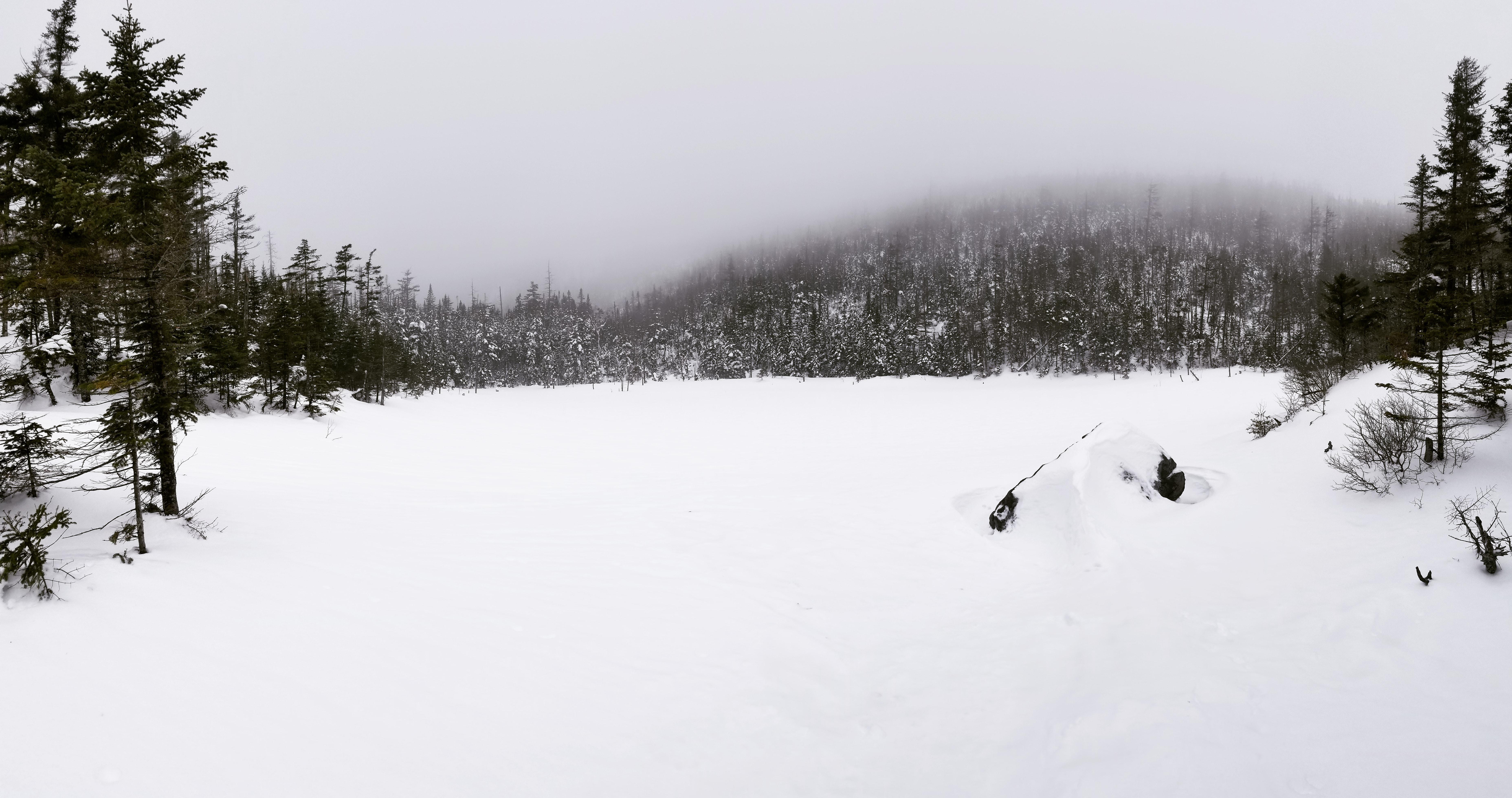 Lake Arnold on the way to Mt. Colden r/Adirondacks