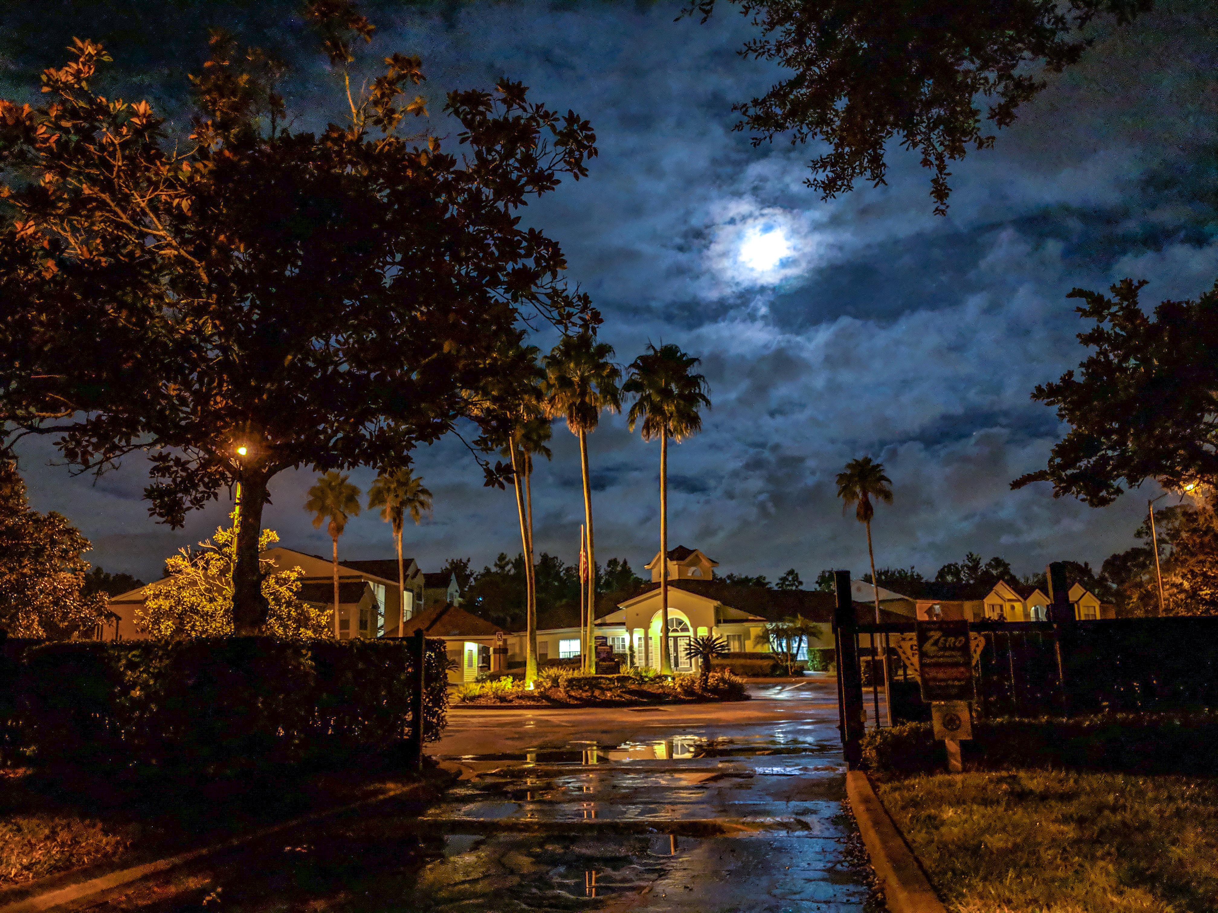 Night shot with nightsight (Google Camera) Pixel 2XL. r/mobilephotography