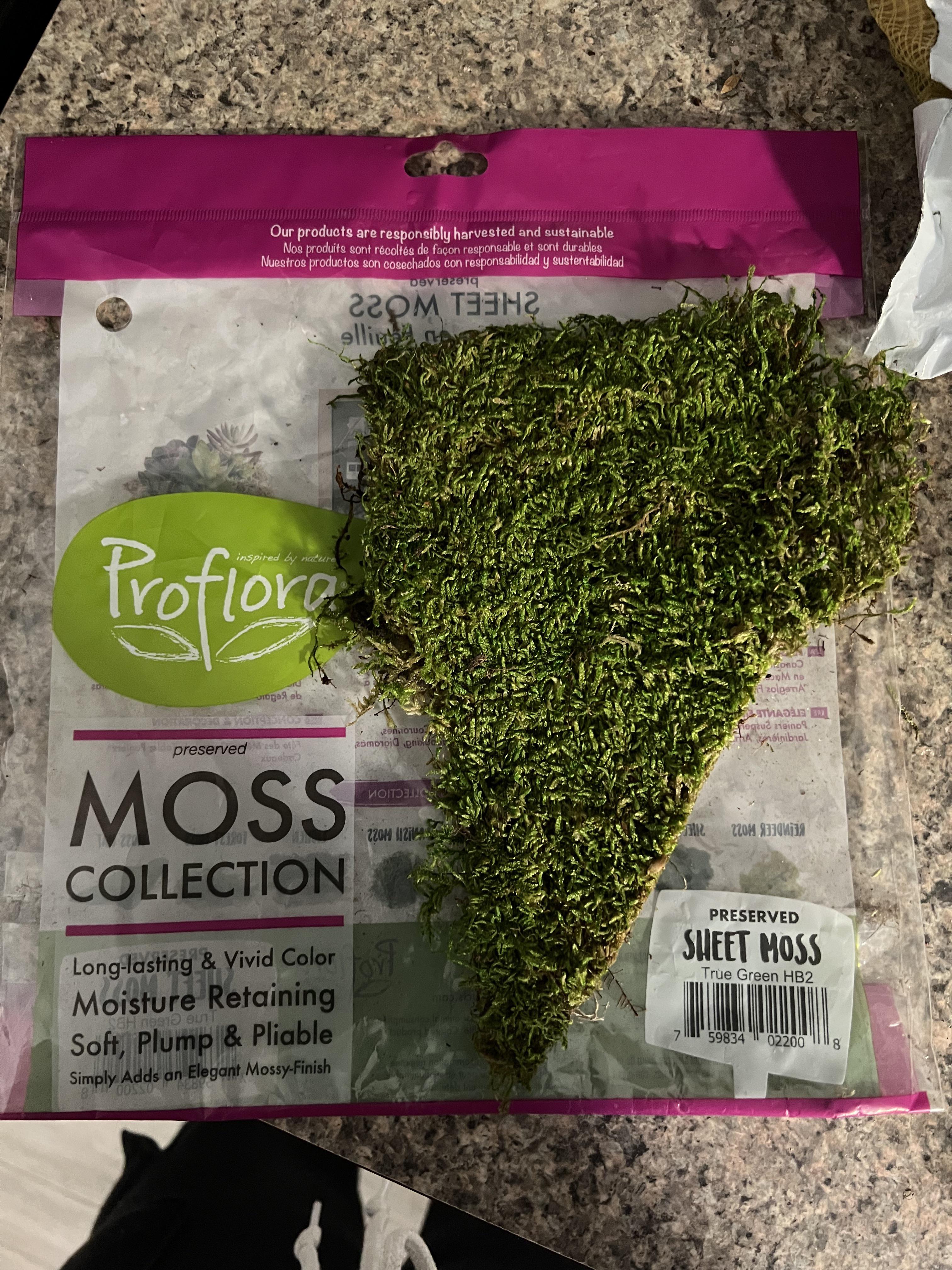 Help! Can I use this preserved moss in my tortoise’s terrarium? r