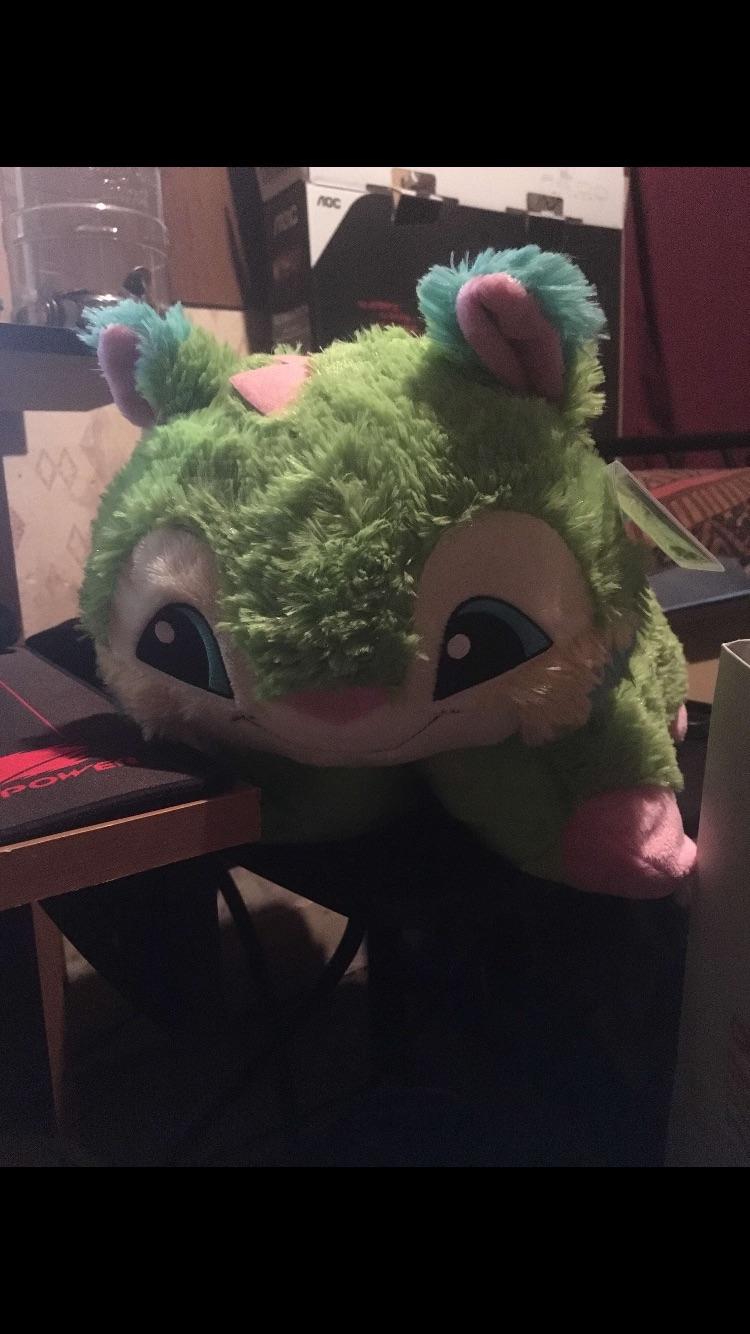 Help me name my friends pillow pet r/teenagers