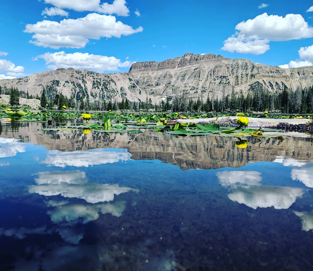 Ruth Lake, Utah, USA [3495 x 3024] oc r/EarthPorn