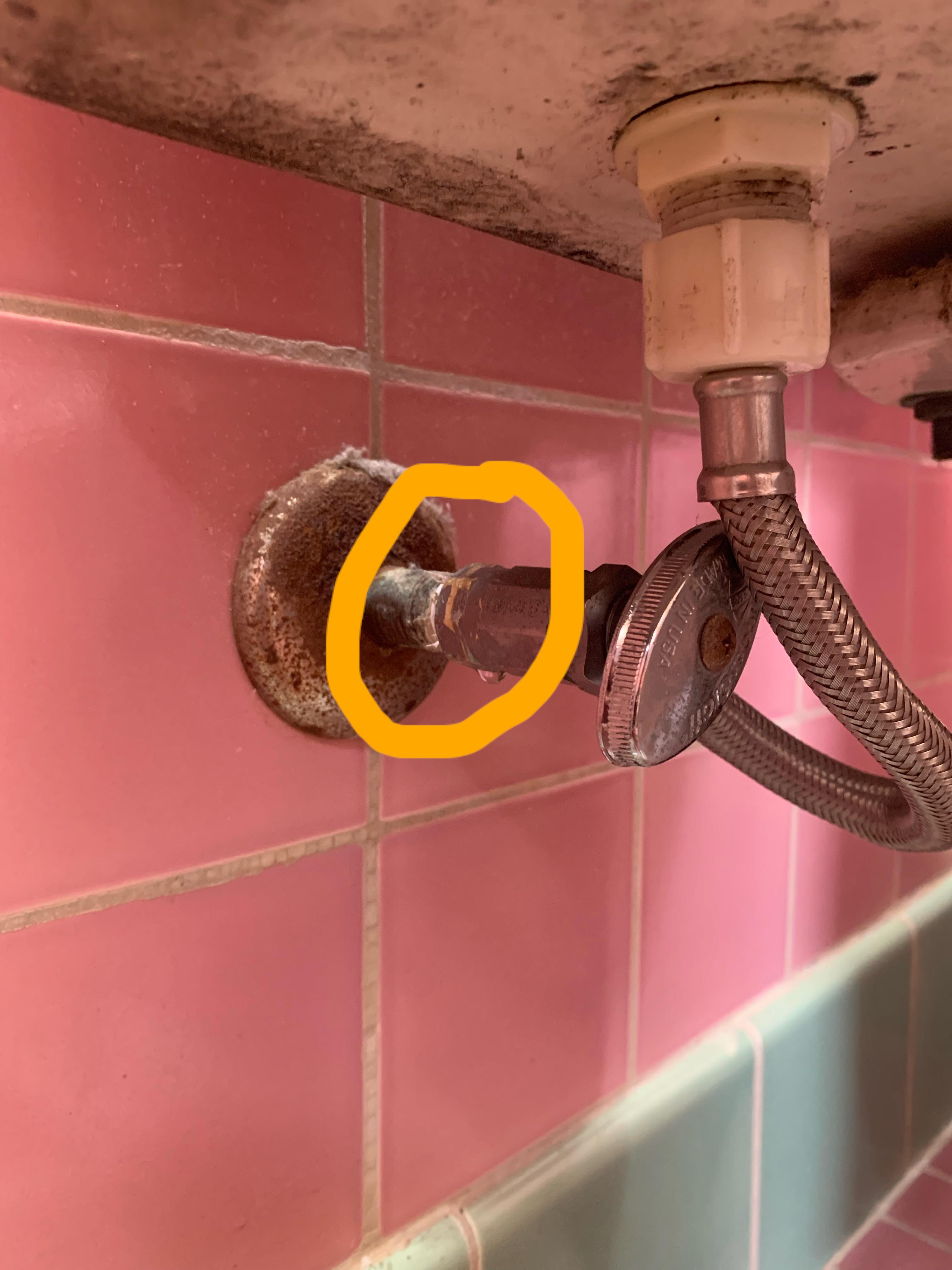 Dual shut off valve less than 1/2 : r/Plumbing