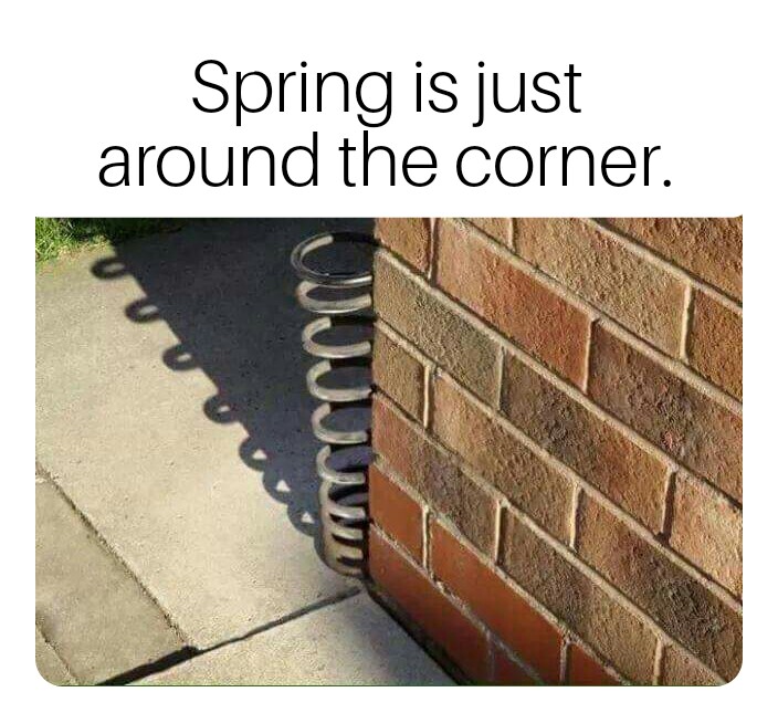 overview for Airdrop_me_memes