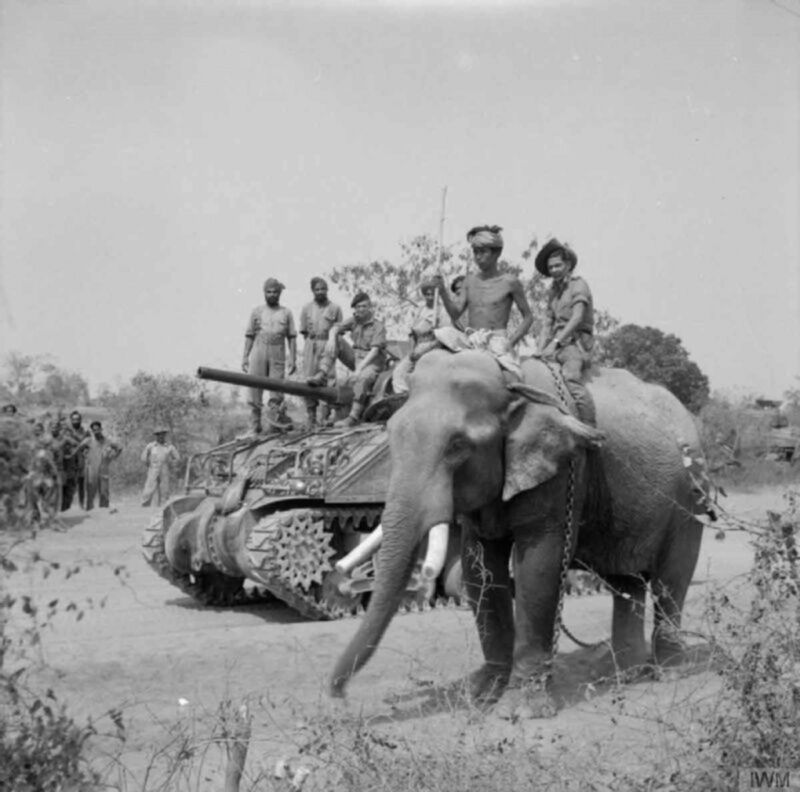 Tank M4 "Sherman" of the 225th British Tank Brigade and an elephant on the road near the Burmese