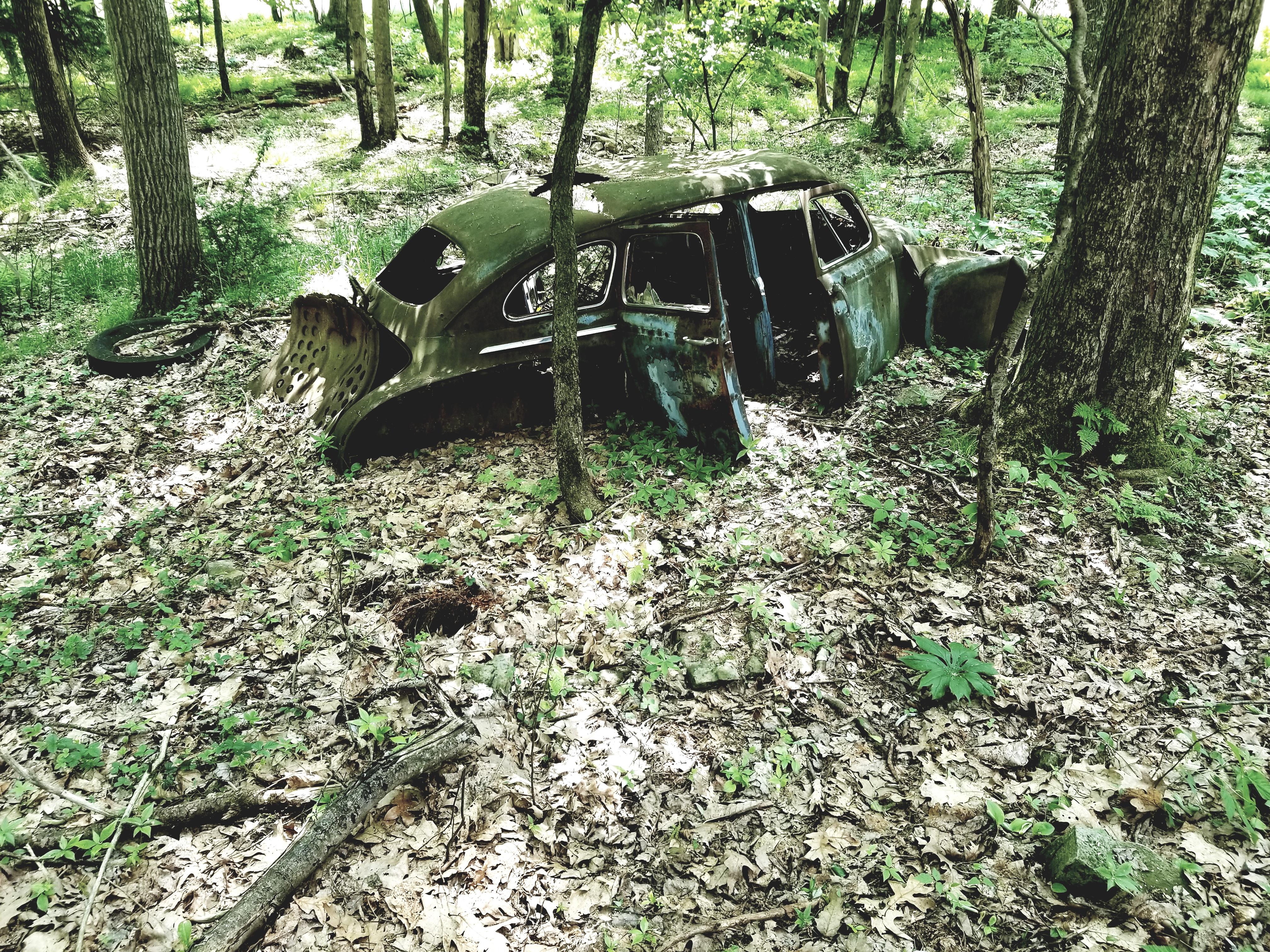 Abandoned car in the woods at my family's old farm in Pennsylvania. [OC] (4032x3024) r