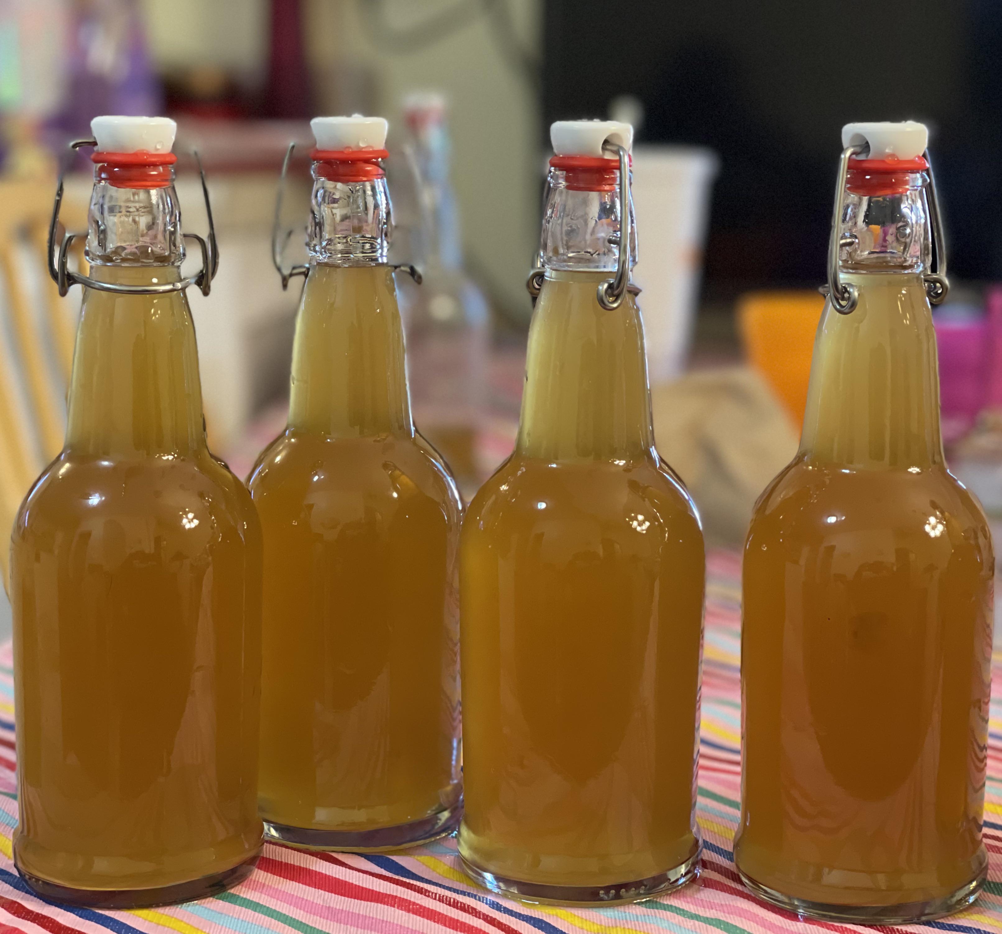 First Mead r/fermentation