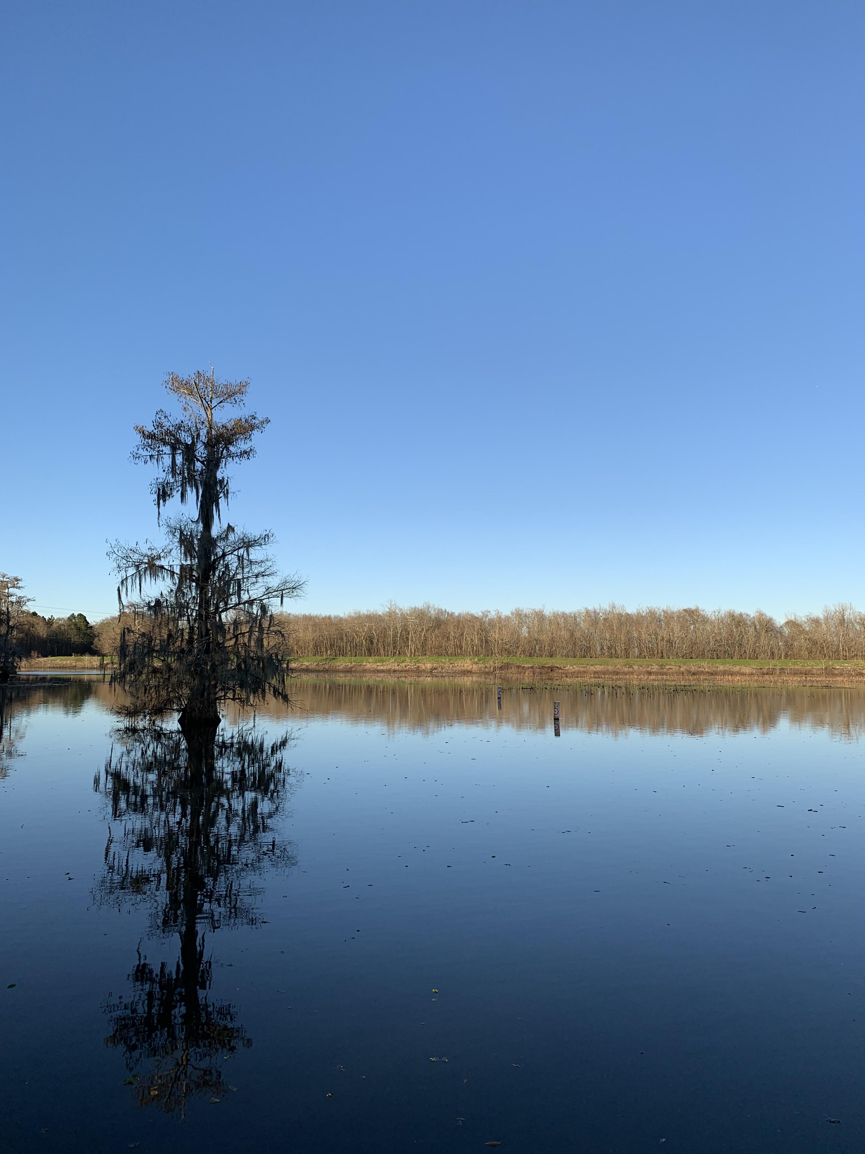 Lake Chicot r/Louisiana